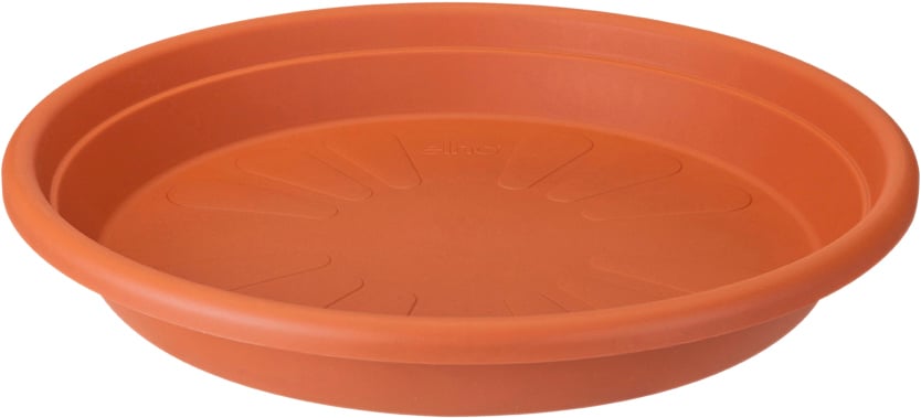 Blumentopfuntersetzer Pflanzenuntersetzer kaufen Globus Baumarkt
