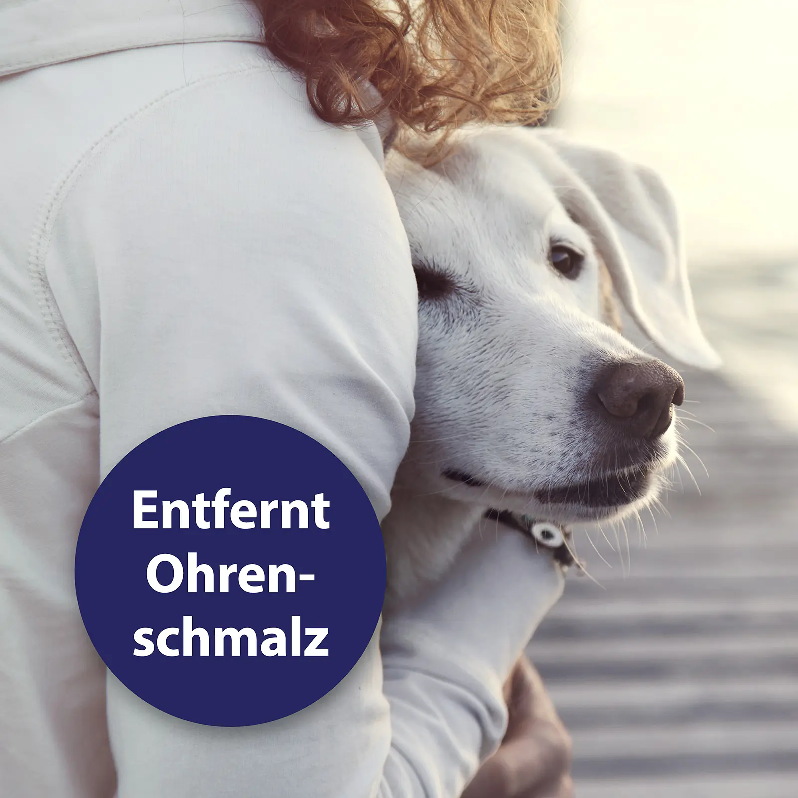 Canosept Ohrpflege Fingerpads für Hunde 50 Stück