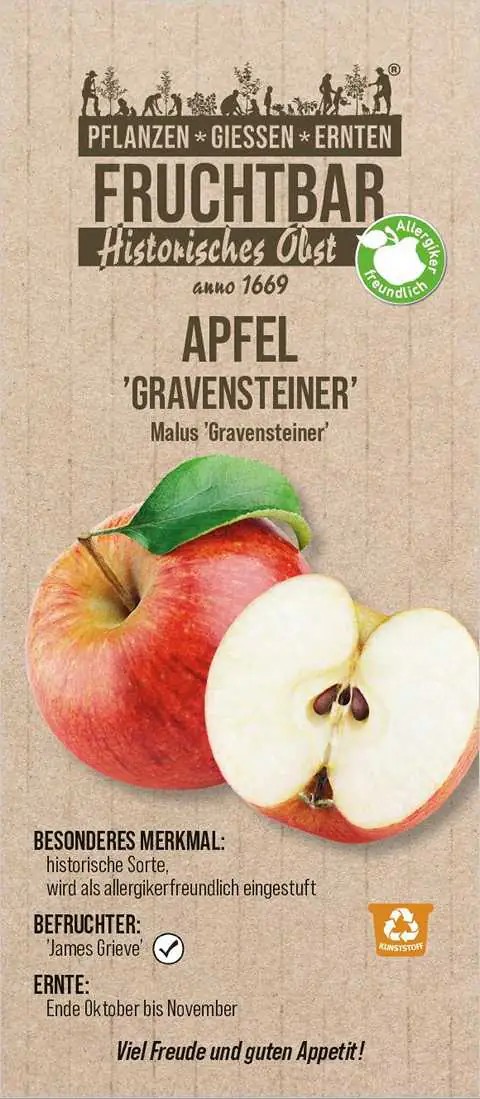 Stadt Ernte Bio Obstbaum Apfel Gravensteiner H 150 cm 29 cm Topf Stadt Ernte Bio Obstbaum Apfel Gravensteiner H 150 cm 29 cm Topf
