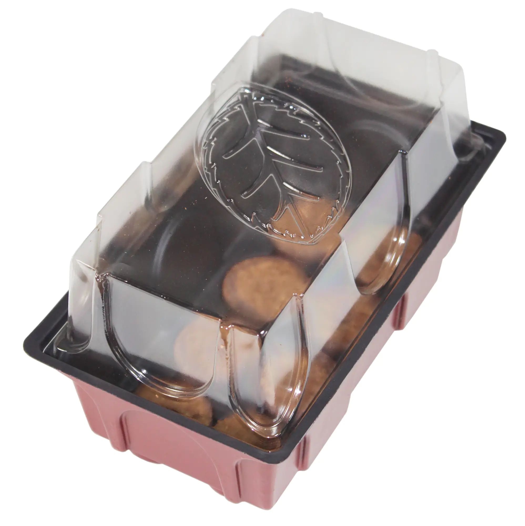 Windhager Anzucht-Gewächshaus 19 x 11 x 11 cm + 8 Quelltabs