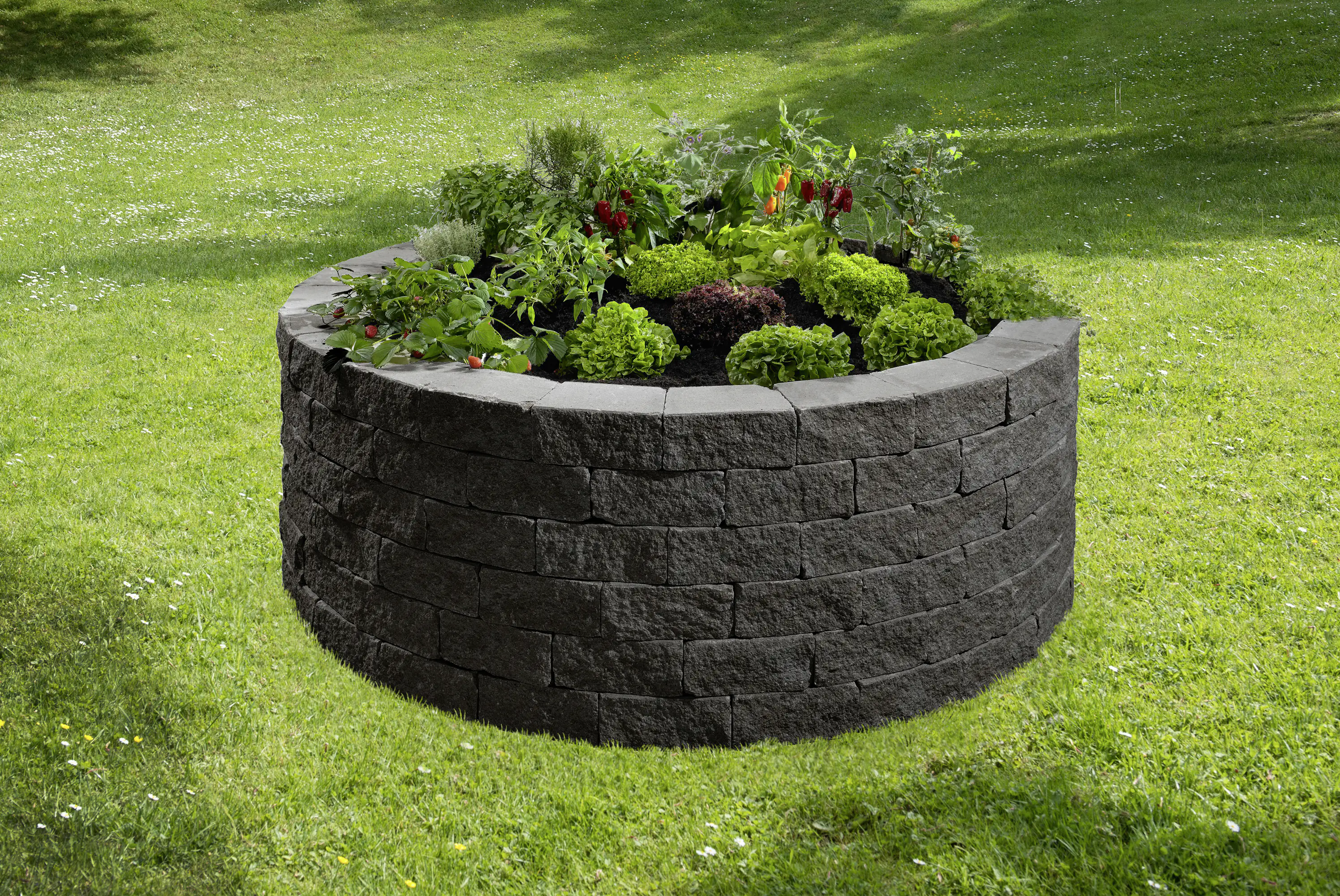 2077881026601_3 Kann Hochbeet-Set Vigneto-Rondell Ø 200 x 72 cm 72 cm anthrazit