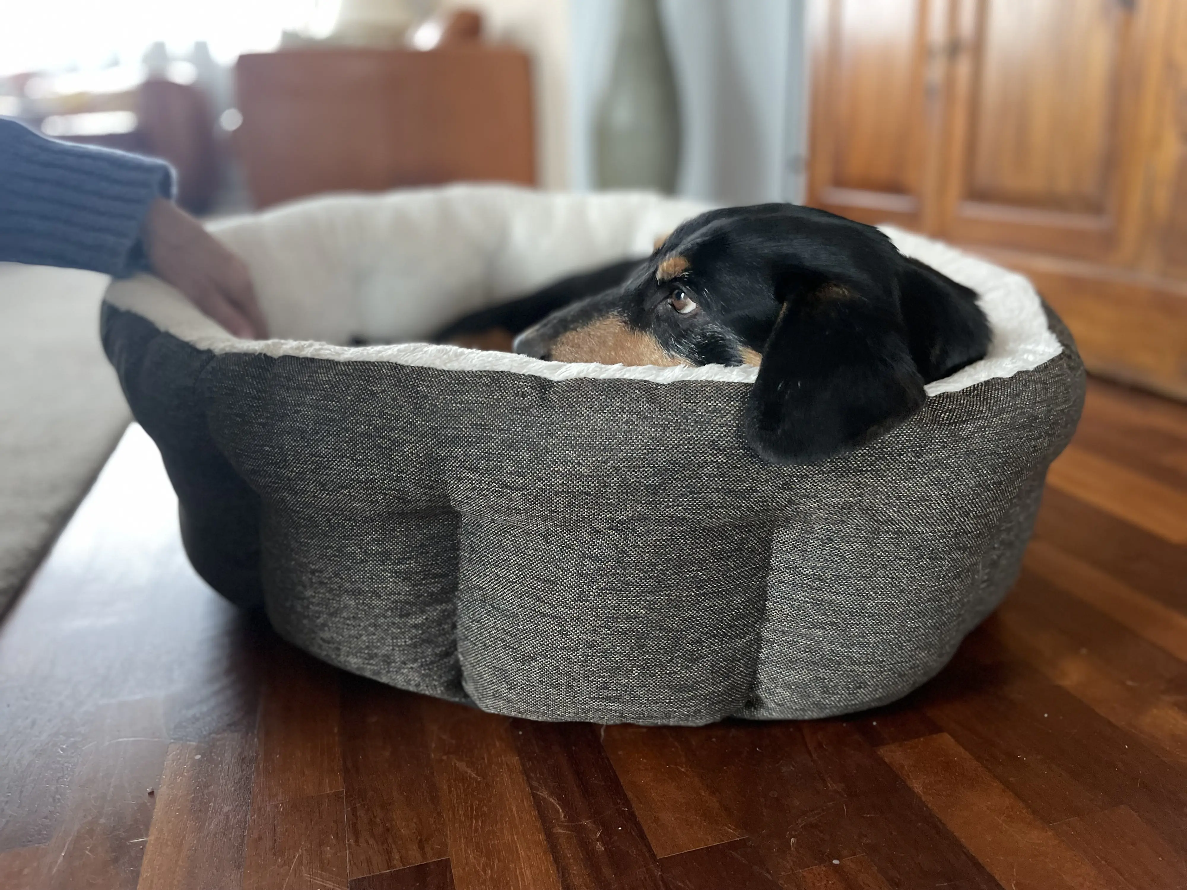 Lebon Hundebett Wilma 75 x 65 cm braun/weiß