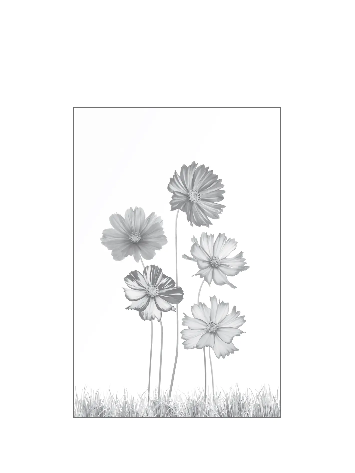 Ambiente Glaszaun Dekor 93 120 x 180 cm gehärtetes 8 mm Glas