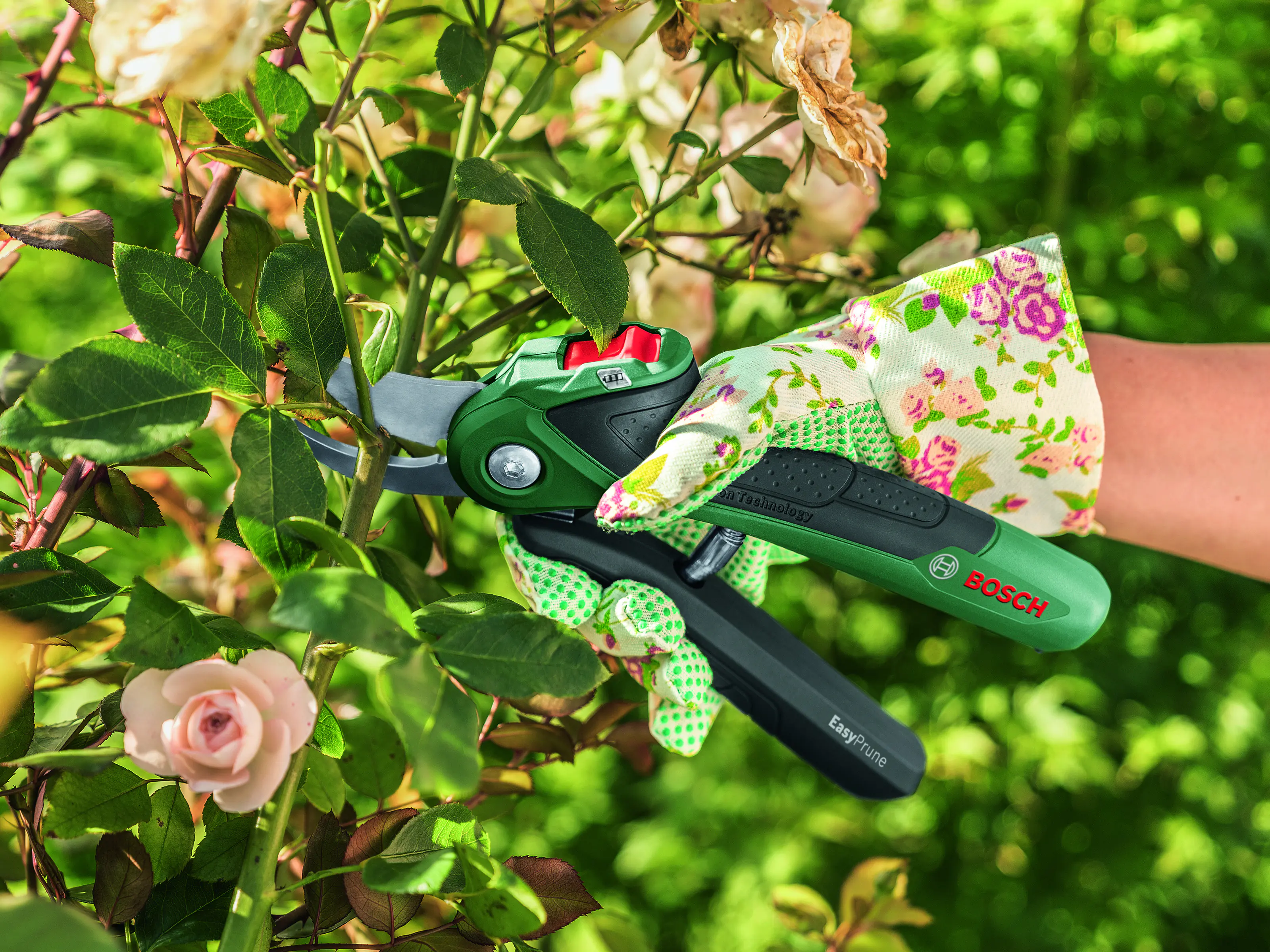 Bosch Akku-Gartenschere EasyPrune inkl. Ladekabel