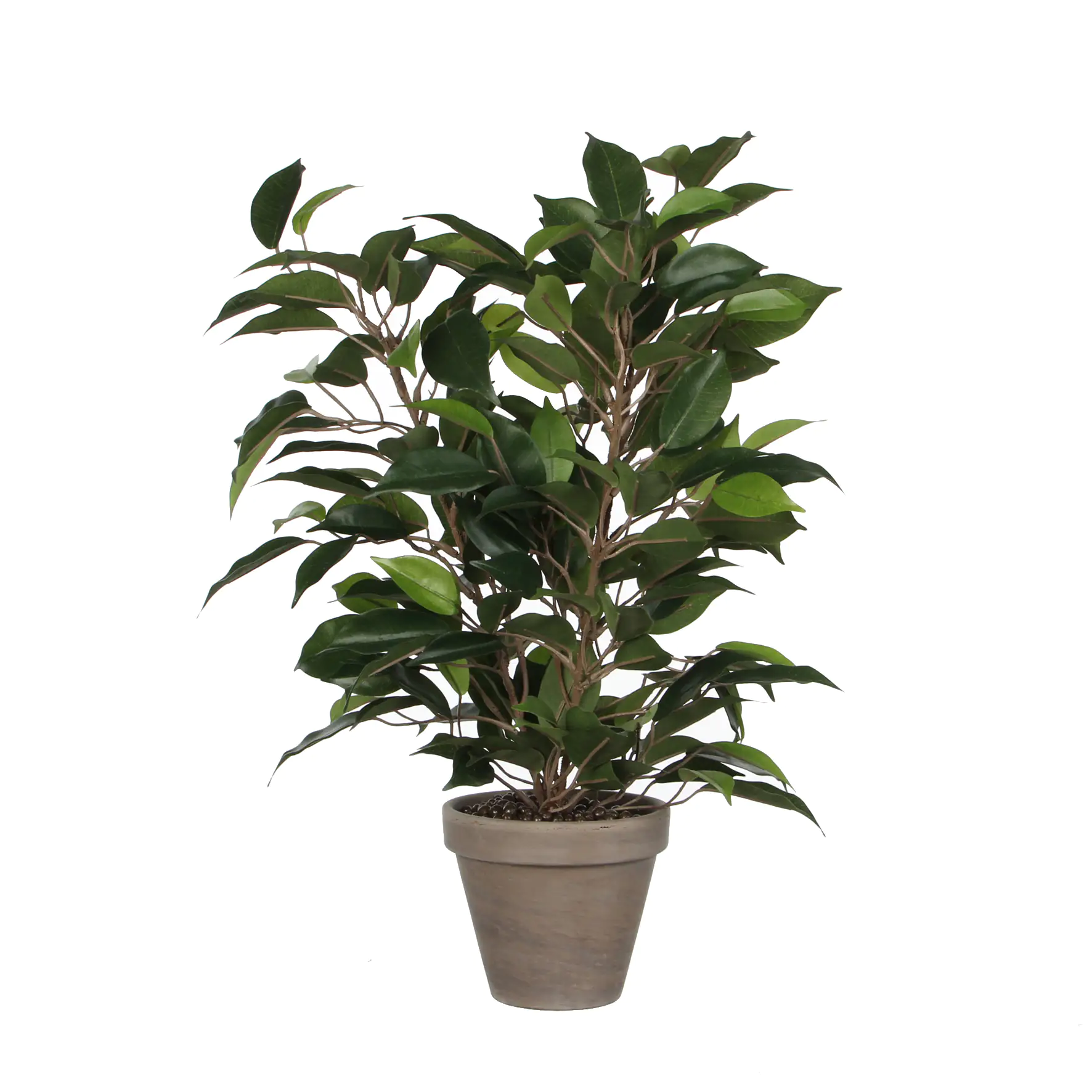 8712293303073 Mica Kunstpflanze Ficus Natasja grün im Topf 40 x 30 cm