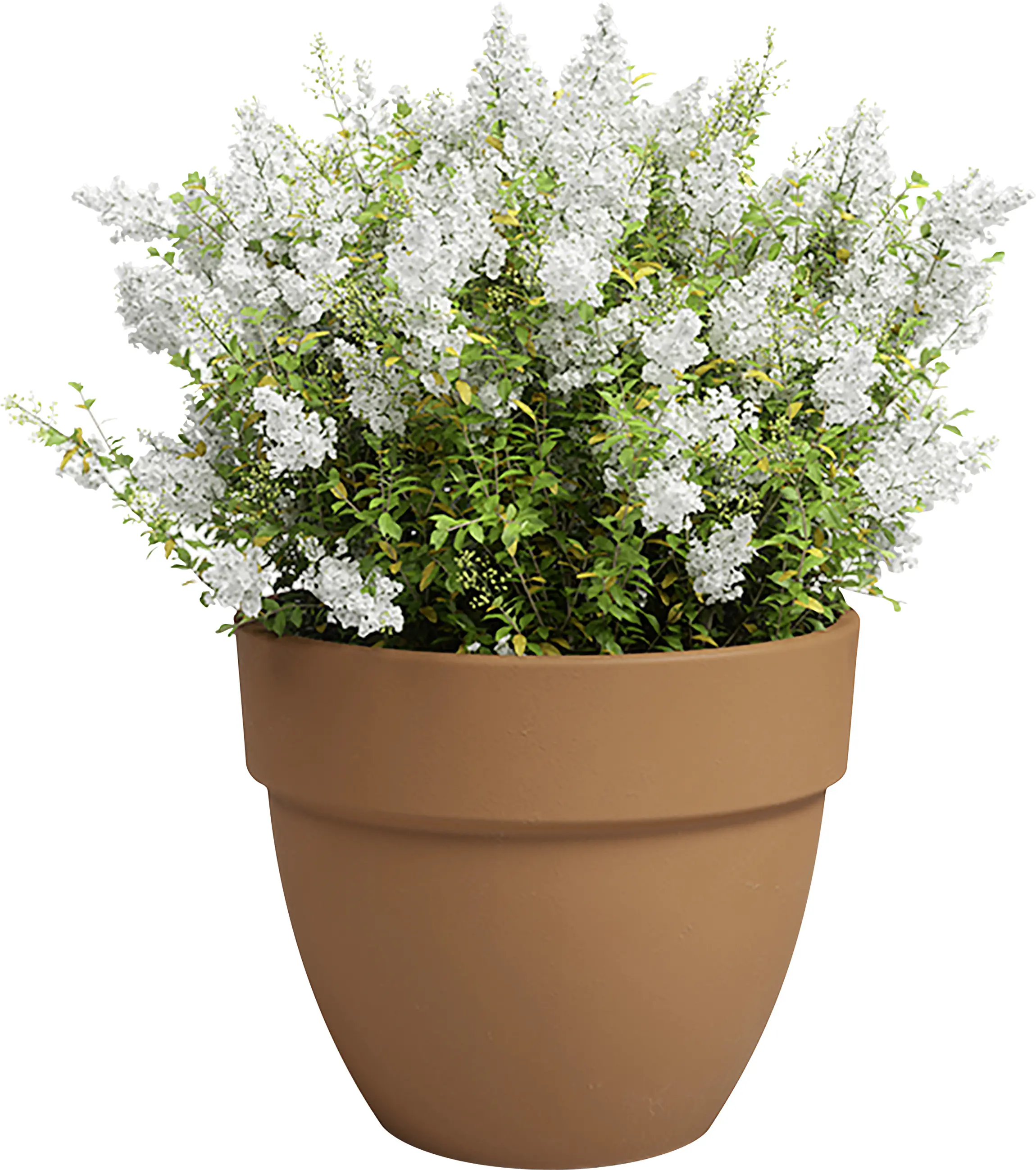 Artevasi Pflanztopf Amália Campana Terrakotta tonrot Ø 32 x 27 cm