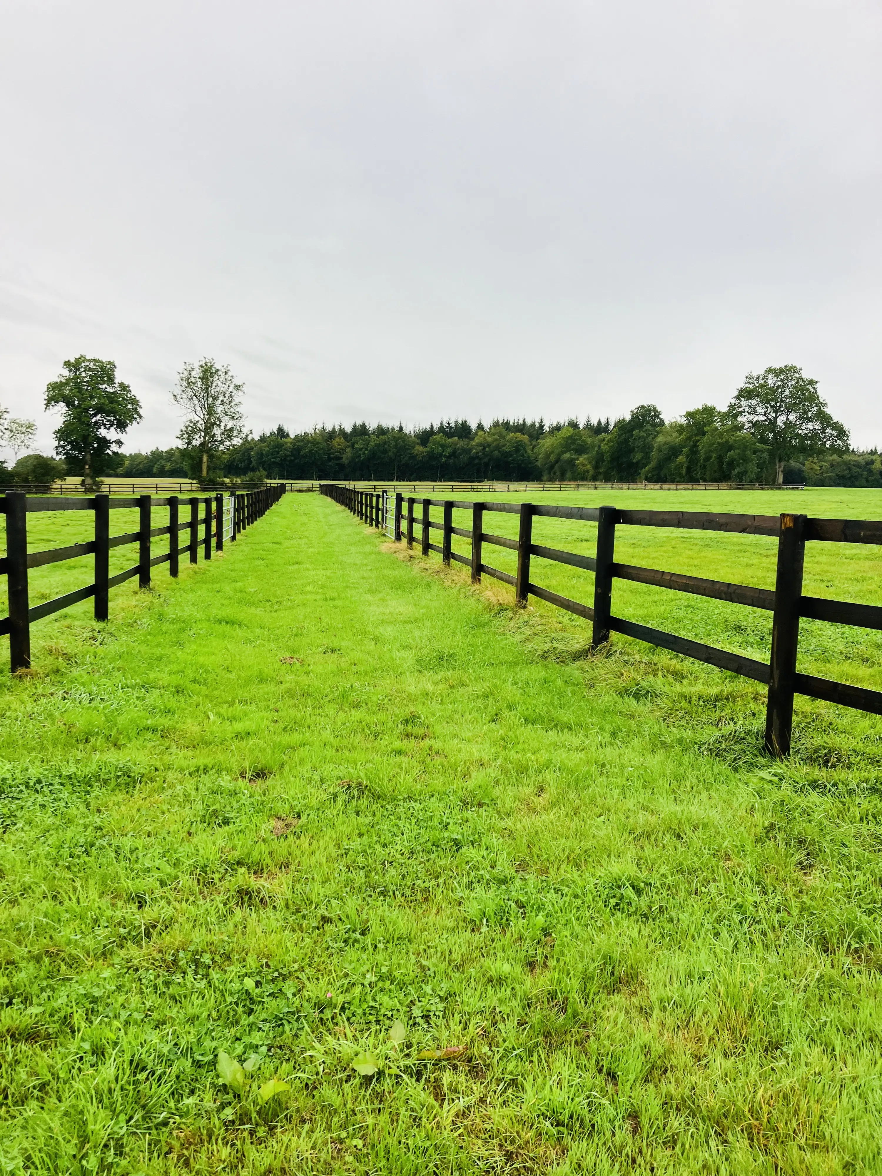 Rundpfahl Koppelzaun 2-reihig Höhe 168-180 cm 66 lfm