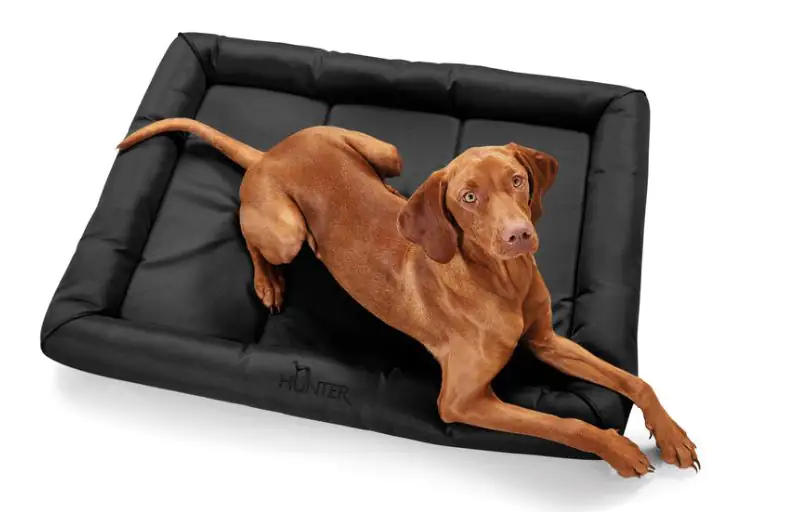 Hundematte Vermont eckig schwarz Hundematte Vermont eckig schwarz