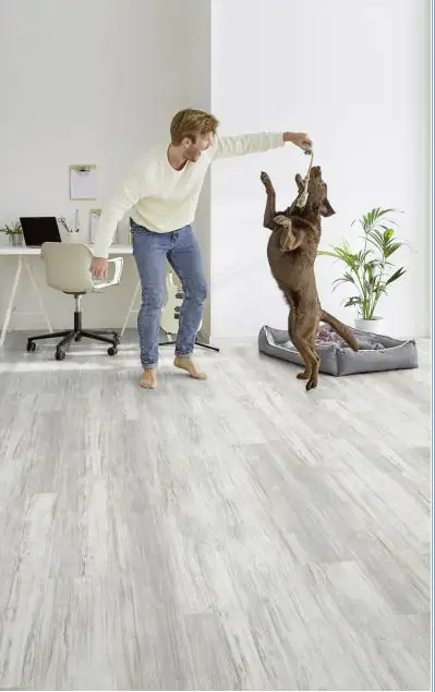 Amorim Handmuster Decolife Vinylboden Frozen Old Larch