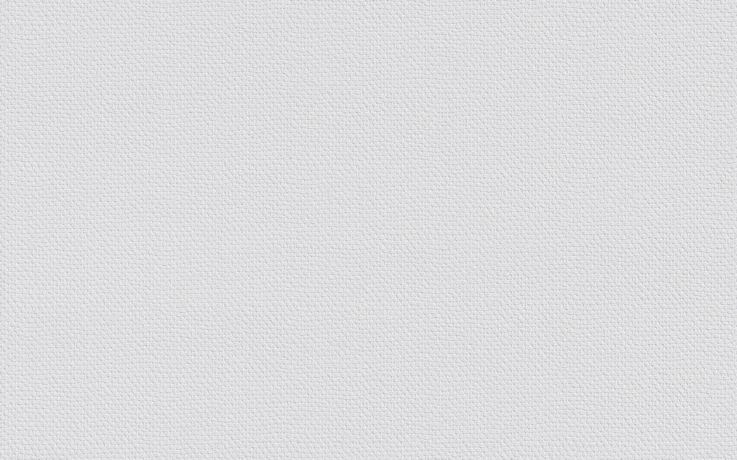 Erfurt Vliestapete Protect 205 weiß 10,05 x 0,53 m