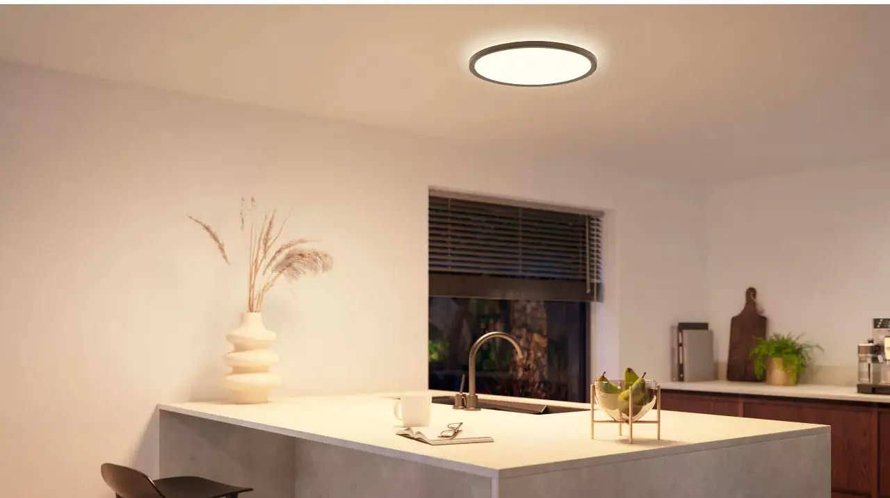 Philips Hue LED Deckenleuchte Tento + Wandschalter rund schwarz Ø 42,1 cm warmweiß-kaltweiß