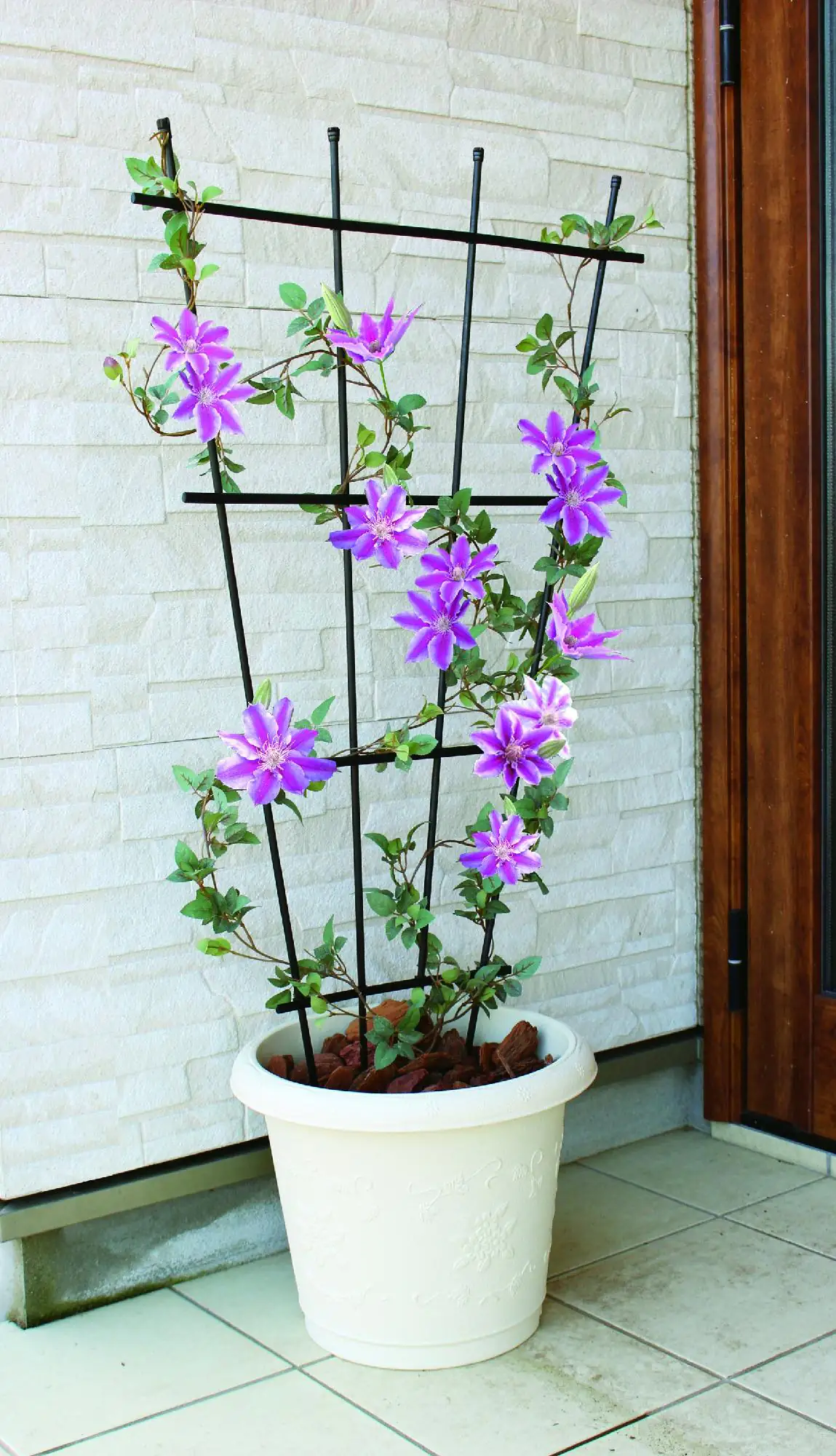 TrendLine Rankgitter 120 cm PE schwarz