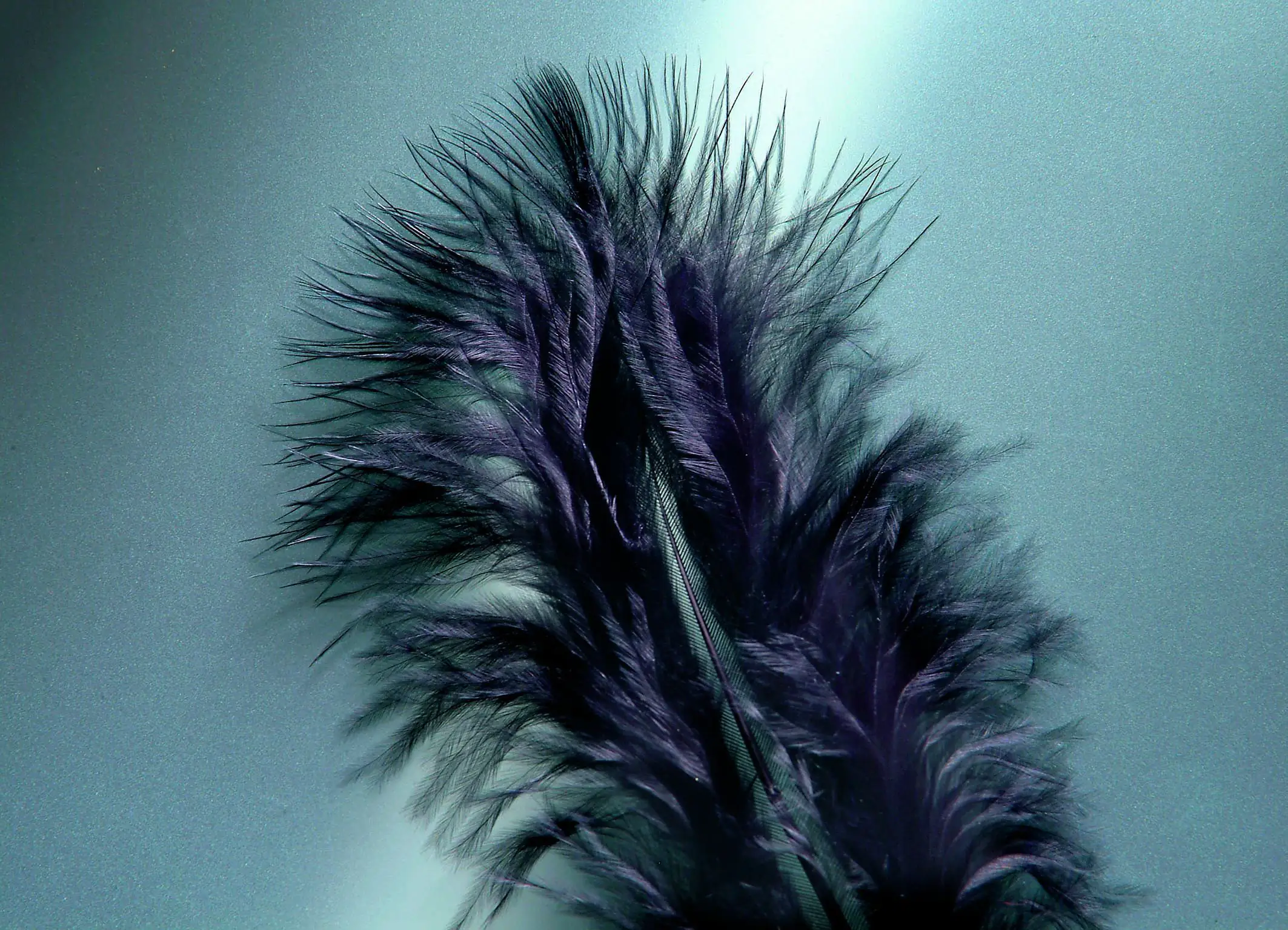 Glorex Marabufedern schwarz ca. 15 Stück