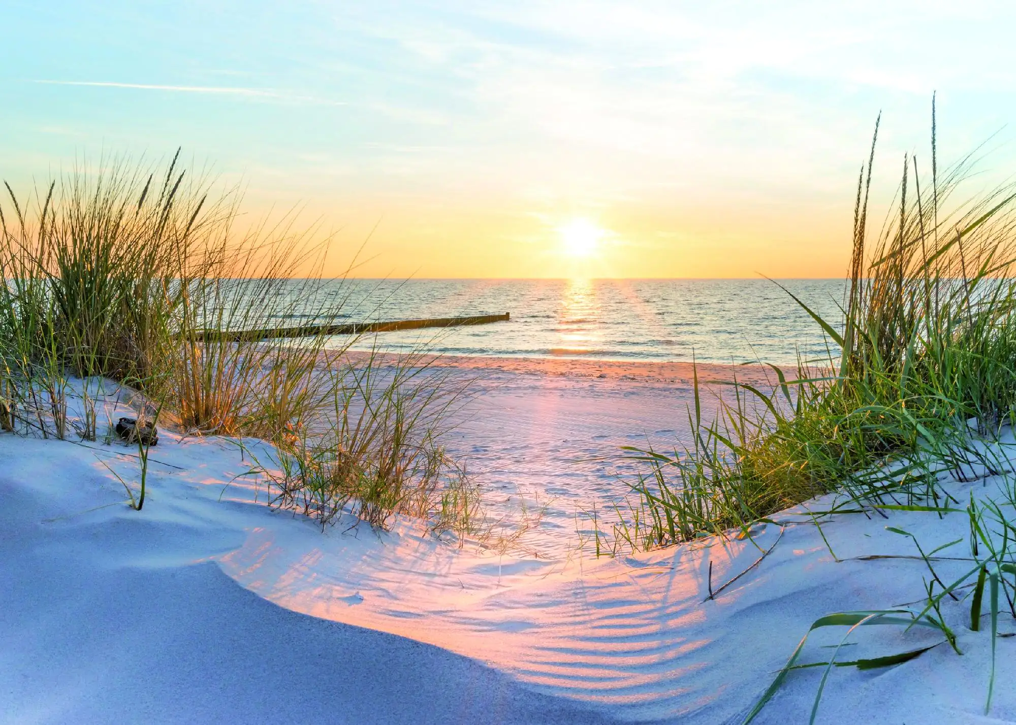 Deco-Canvas Bild - Way to Beach 50 x 70 cm