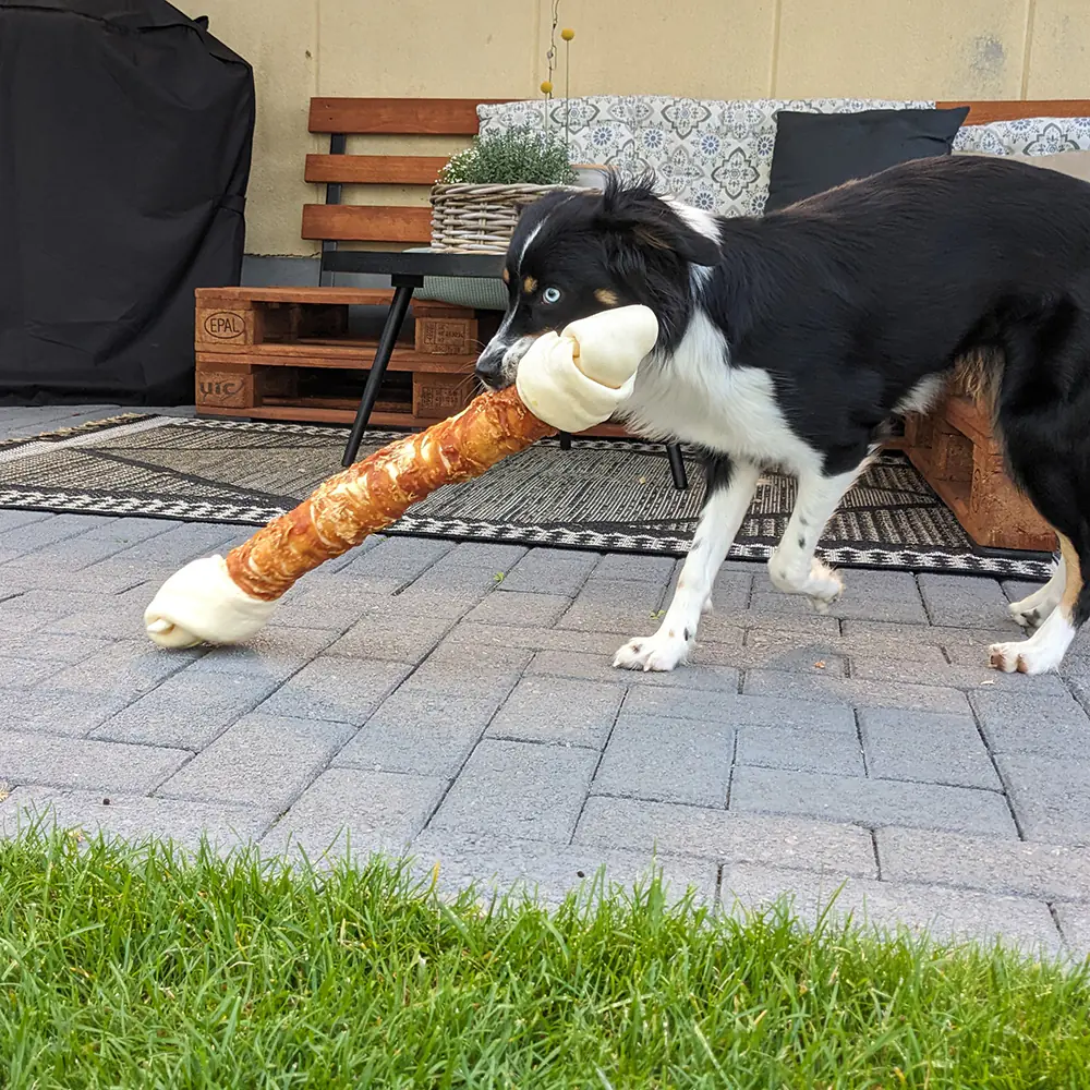 Nobby Hundeleckerli StarSnack Kaustange XXL 1 Stück Hähnchen