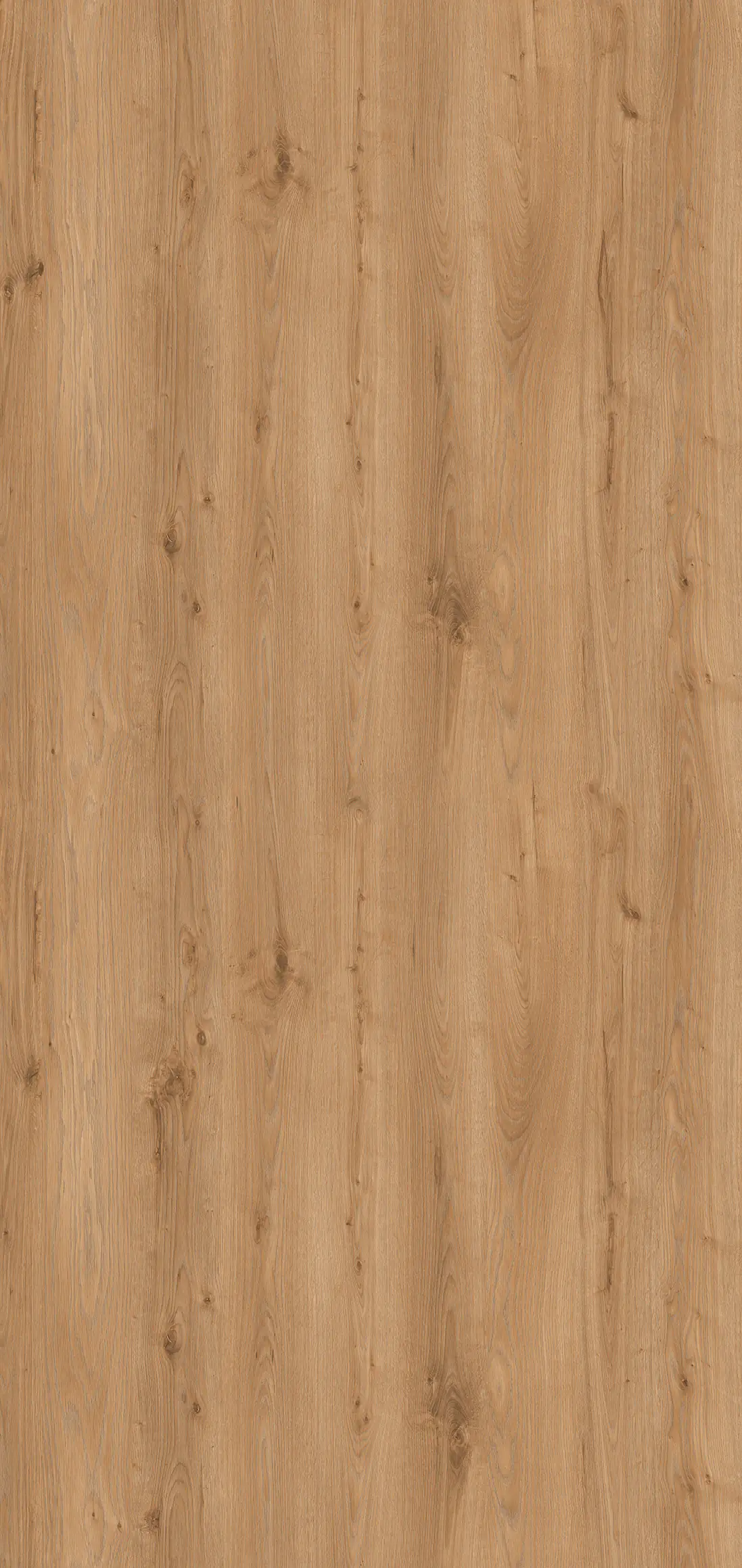 Classen Wandverkleidung Vario Nature Oak 255 x 120 cm 3 mm