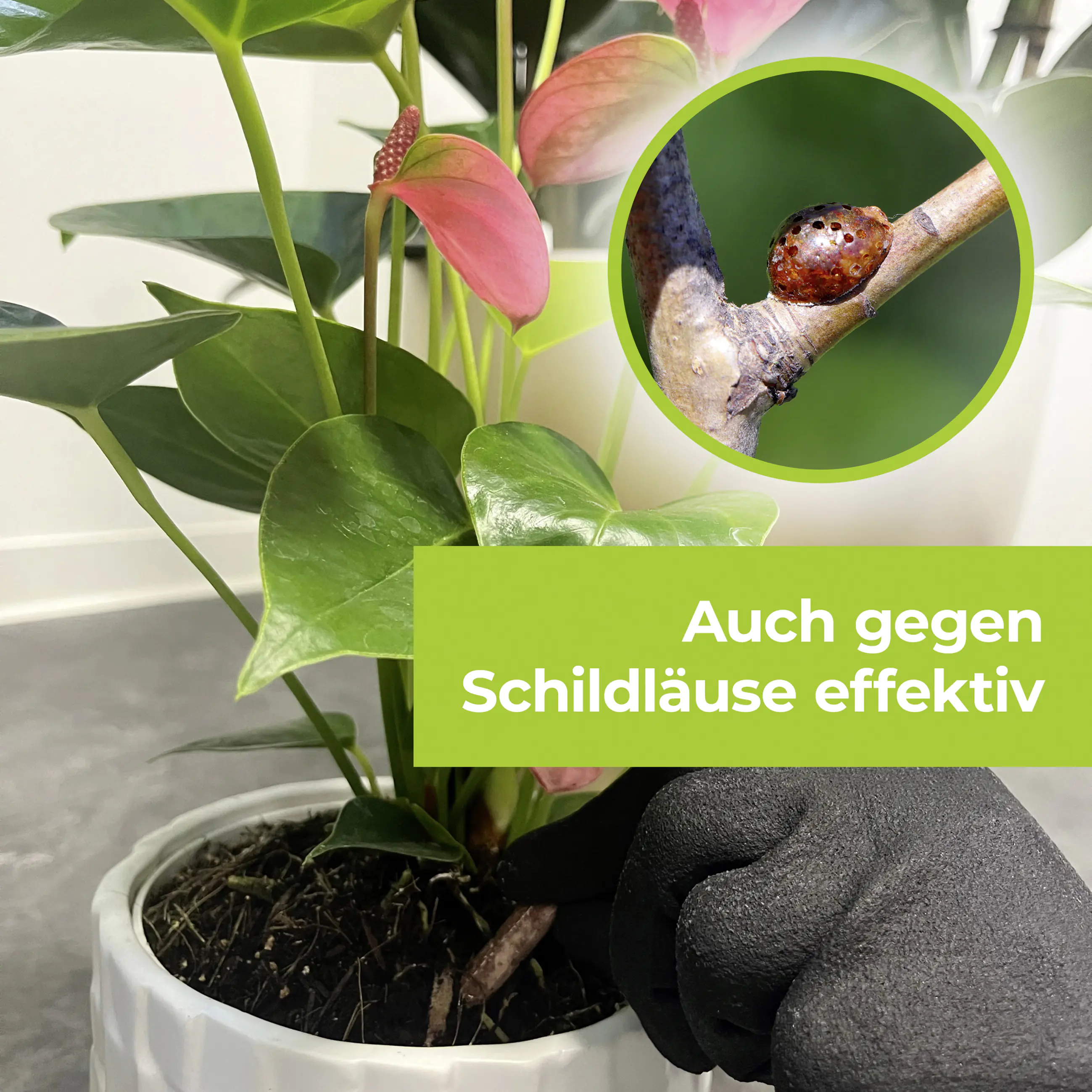 Protect Garden Lizetan Plus Combistäbchen 20 Stück