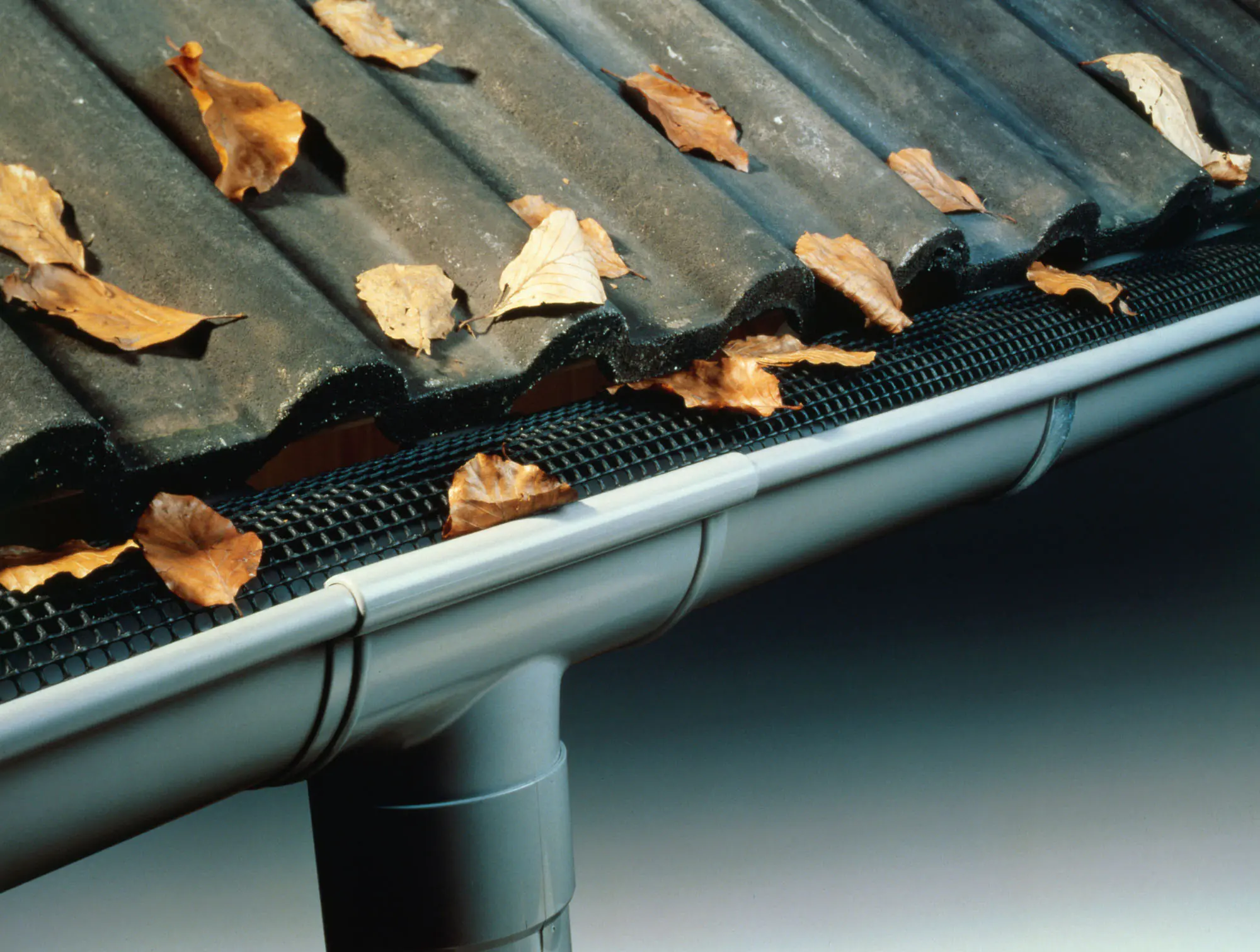 Marley Laubstop Poly Net 100-125 mm, 2 m, schwarz