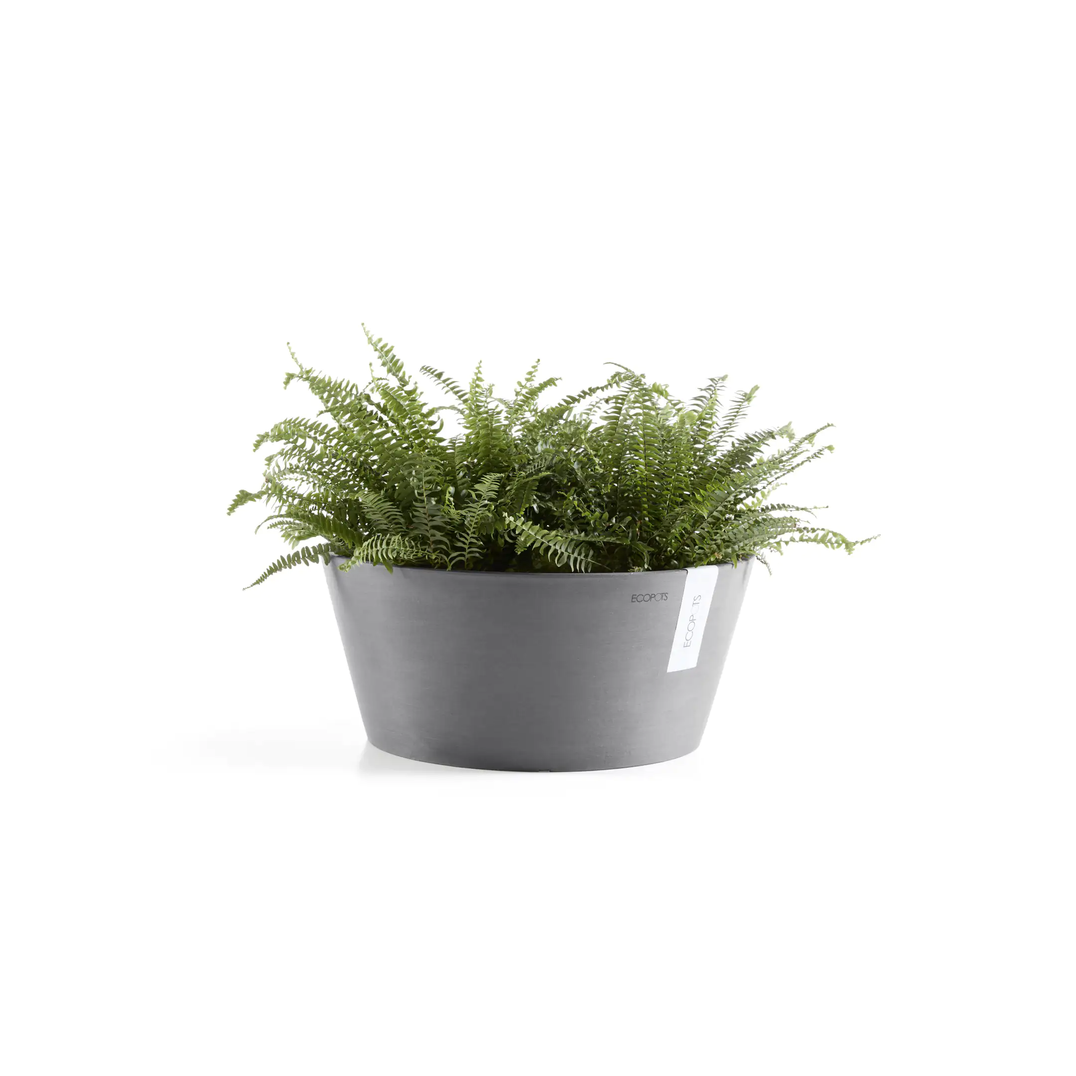 Ecopots Pflanztopf Frankfurt Ø 50 x 25 cm grau Ecopots Pflanztopf Frankfurt Ø 50 x 25 cm grau