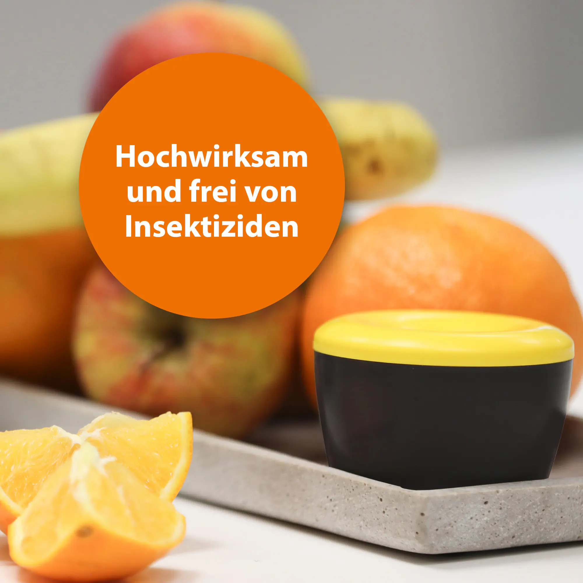 Ardap Fruchtfliegenfalle mit Lockstoff 1 Stück