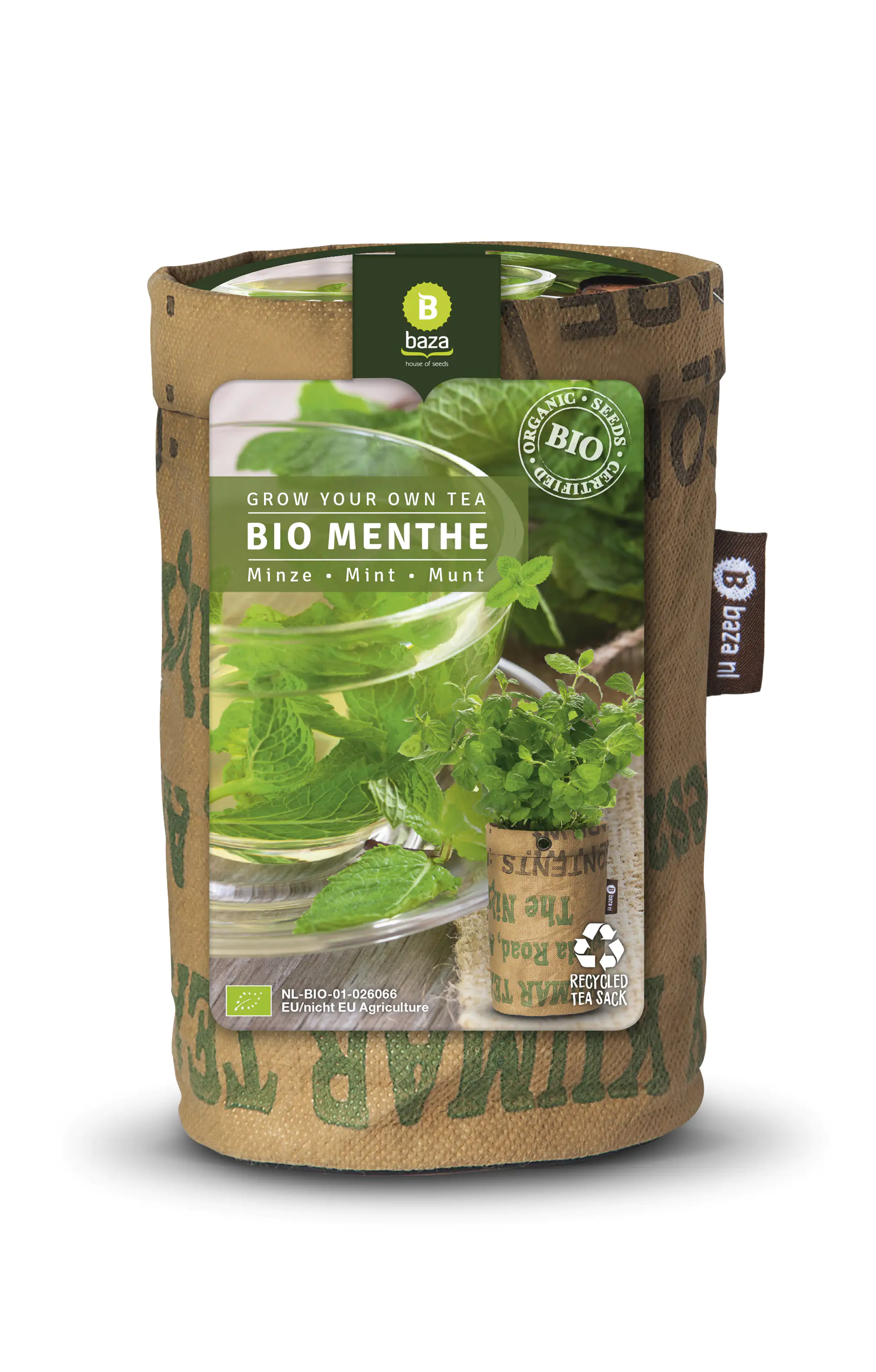 Baza Seeds Teegarten Bio Minze kaufen Globus Baumarkt