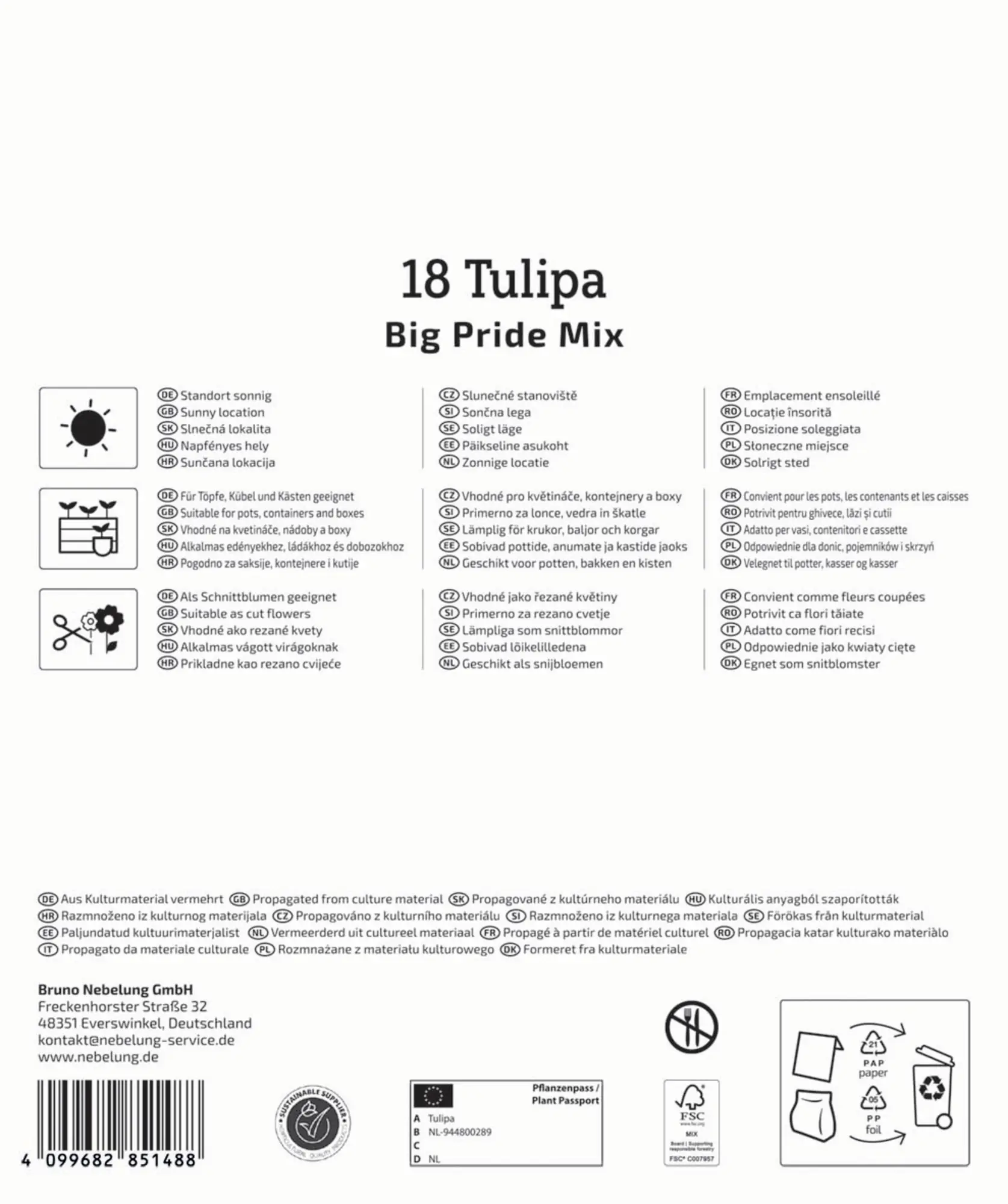 Kiepenkerl Herbstblumenzwiebelmischung Mega-Pack Darwin-Hybrid-Tulpe Big Pride 18 Stück