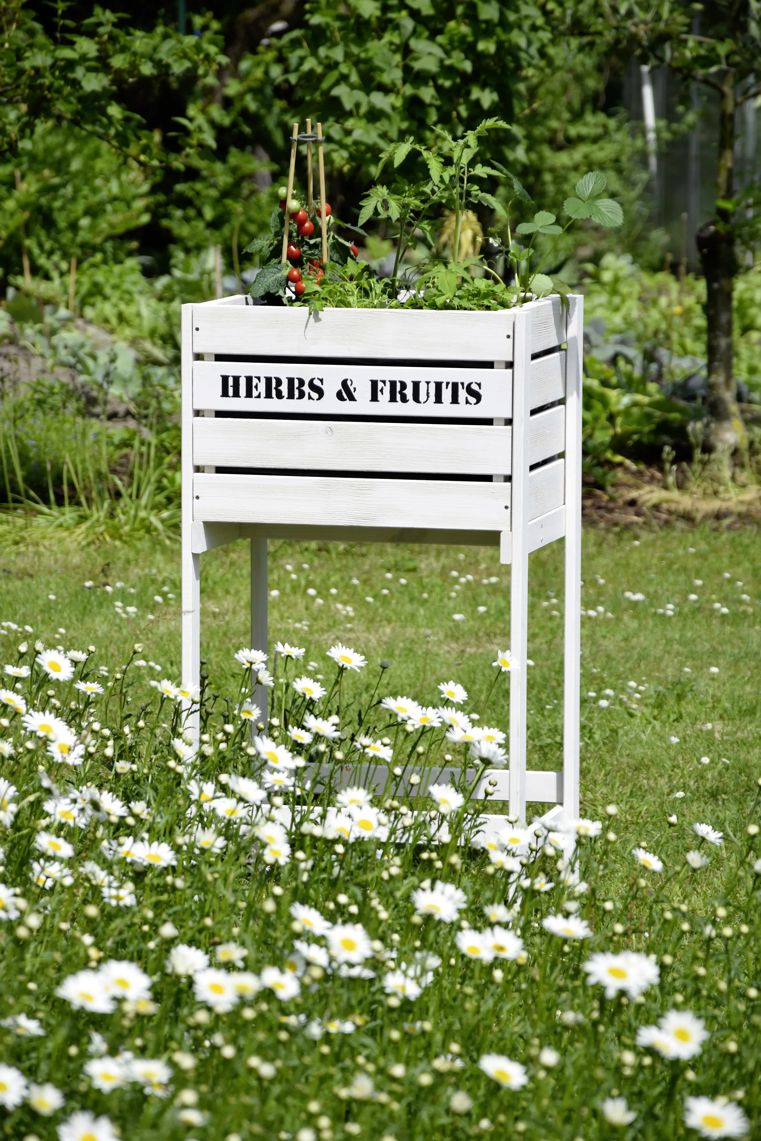 Dobar Hochbeet Obstkiste weiss 49 x 42 x 90 cm