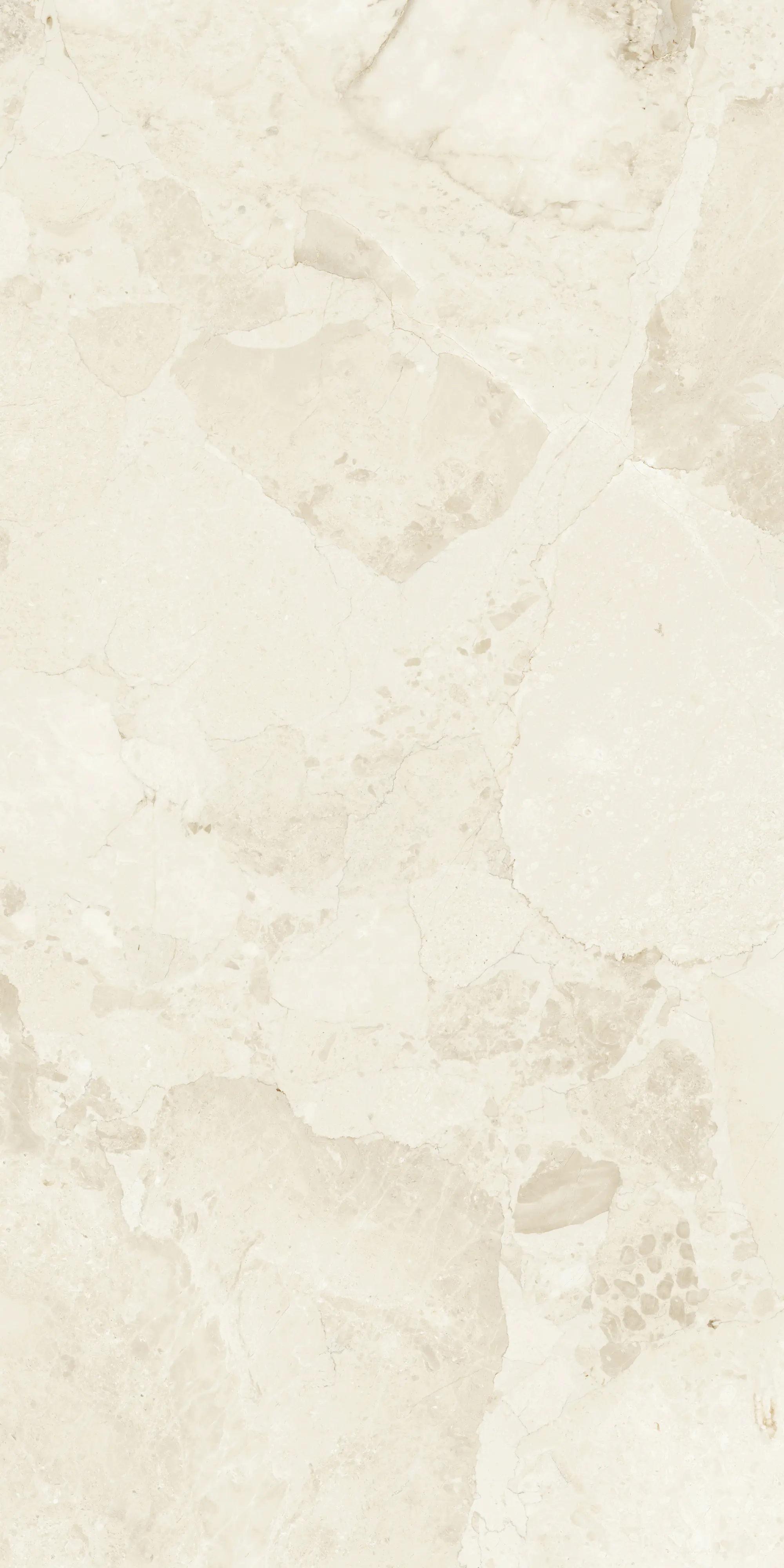 Bodenfliese Feinsteinzeug Coppo di Como 60 x 120 cm beige