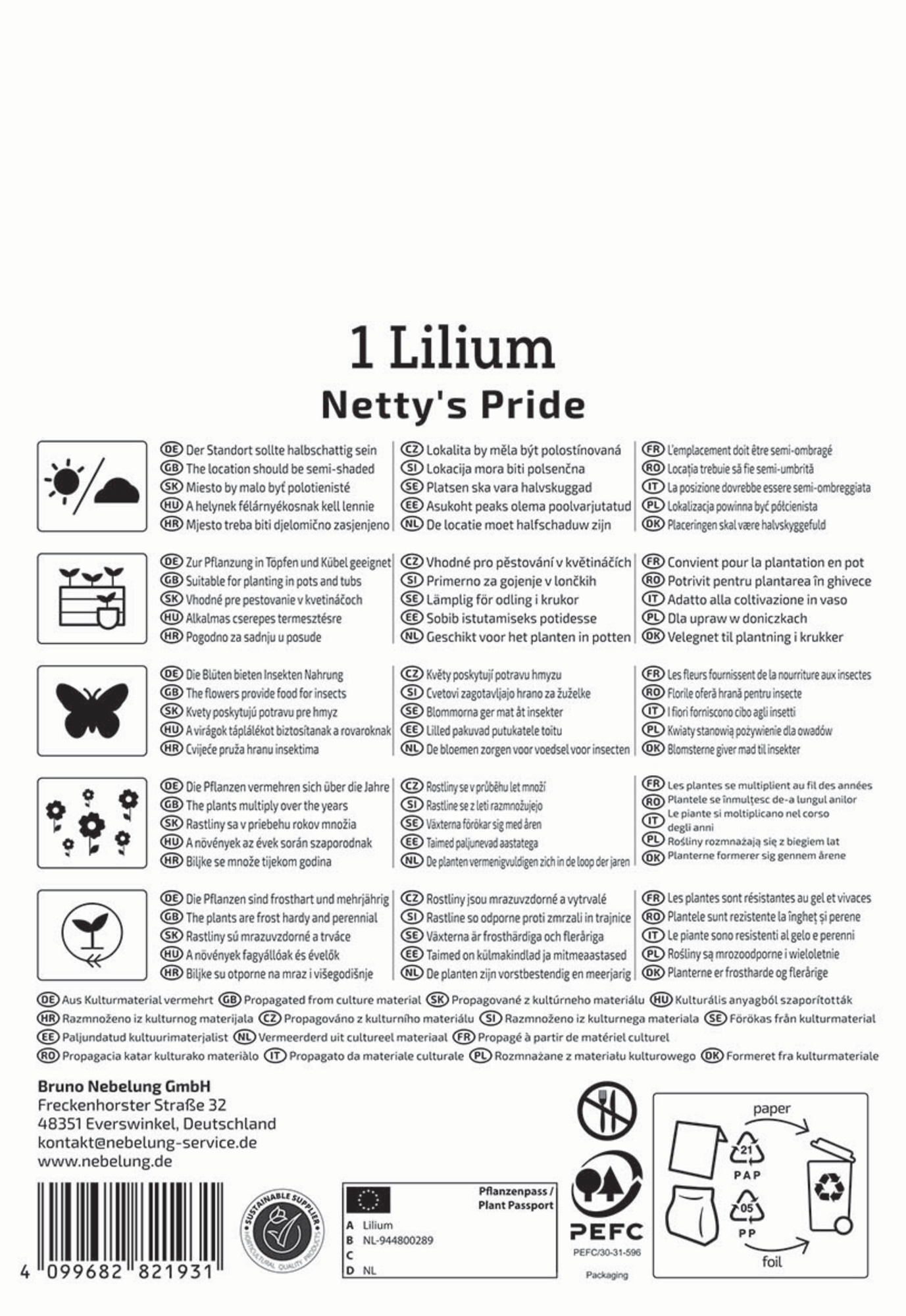 Kiepenkerl Frühjahrsblumenzwiebel Asiatische Lilie Netty's Pride 1 Stück