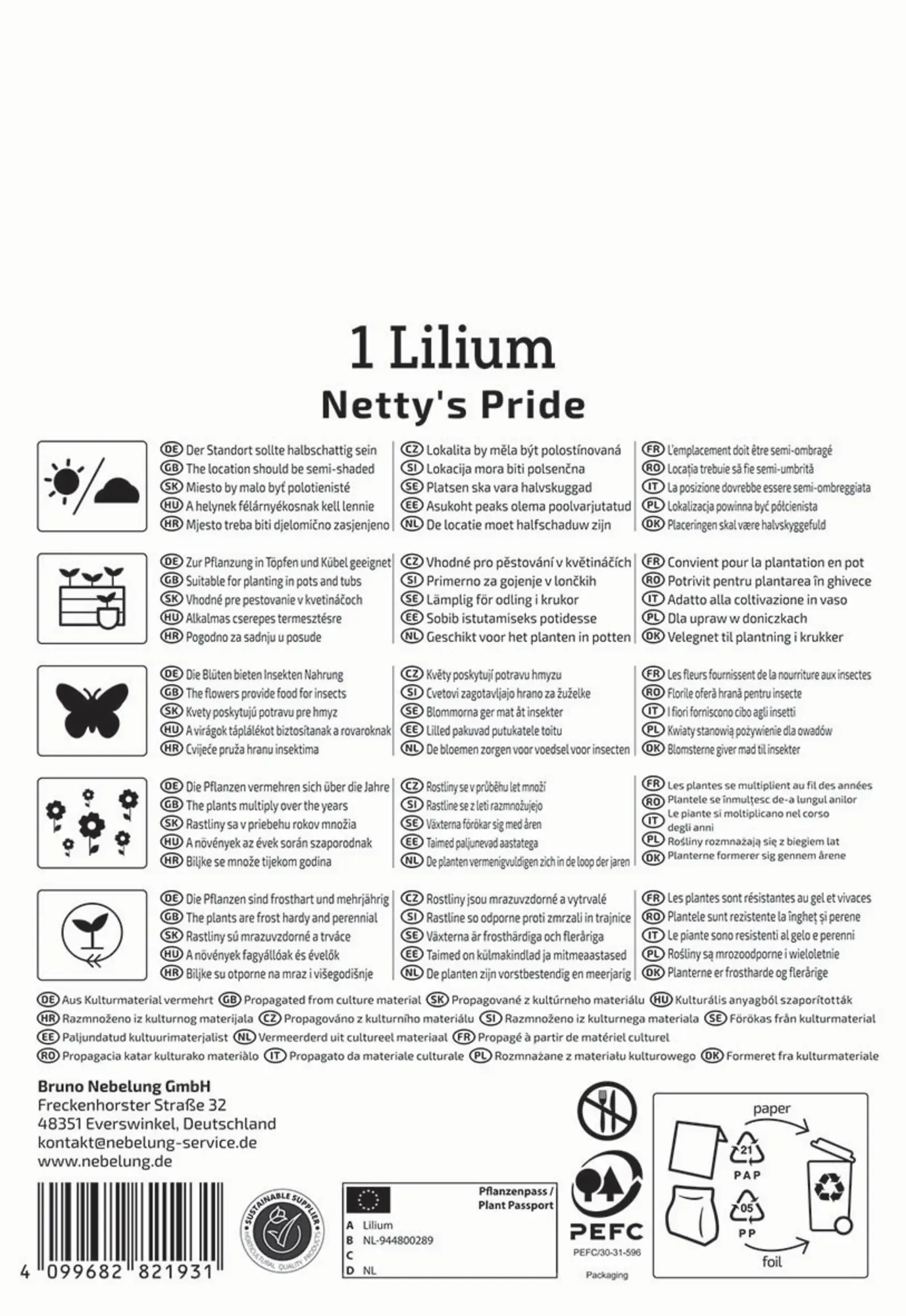 Kiepenkerl Frühjahrsblumenzwiebel Asiatische Lilie Netty's Pride 1 Stück