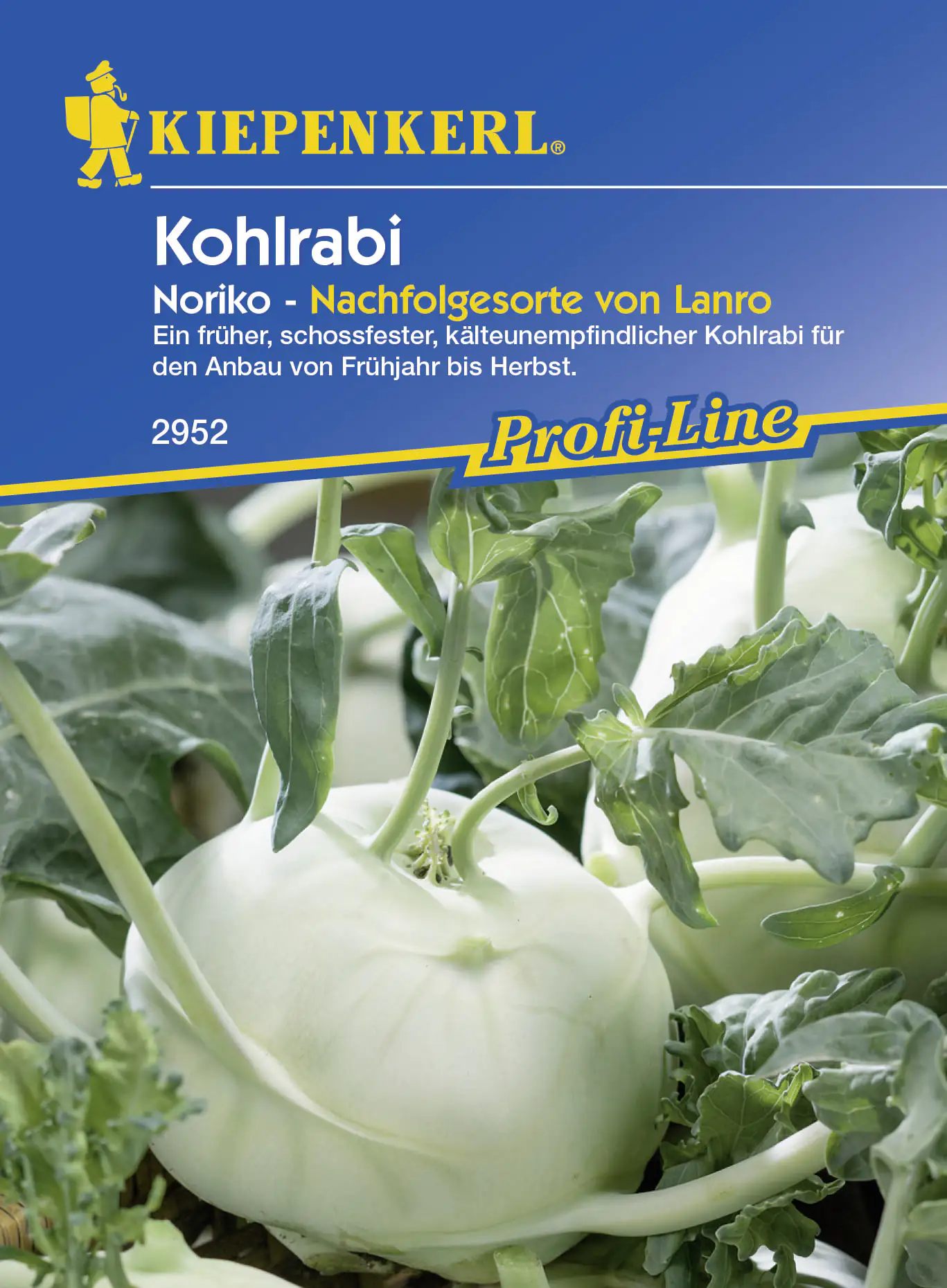 Kiepenkerl Kohlrabi Noriko ca. 50 Pflanzen kaufen Globus Baumarkt