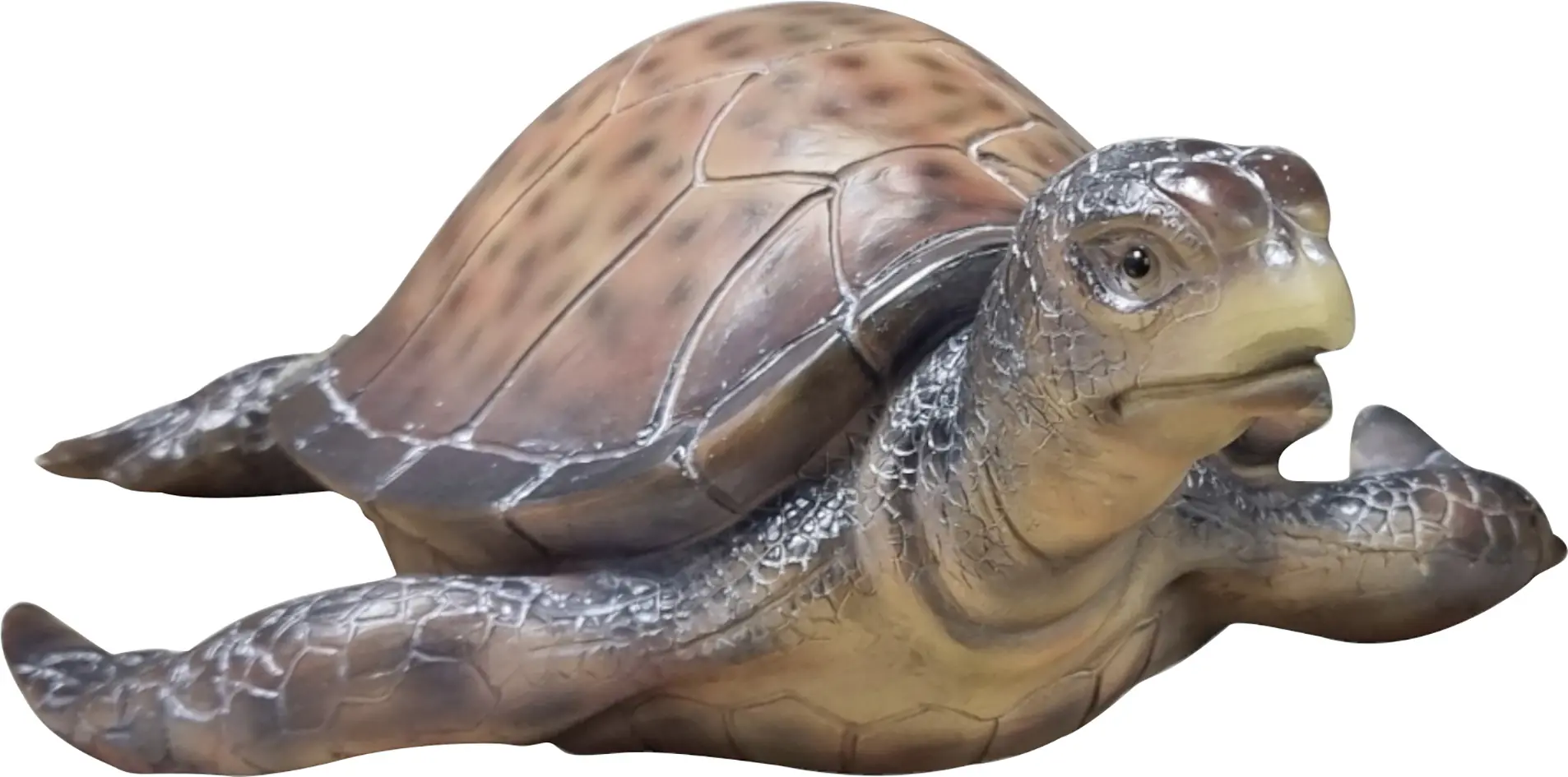 Dekofigur Wasserschildkröte 12 x 35 x 28 braun