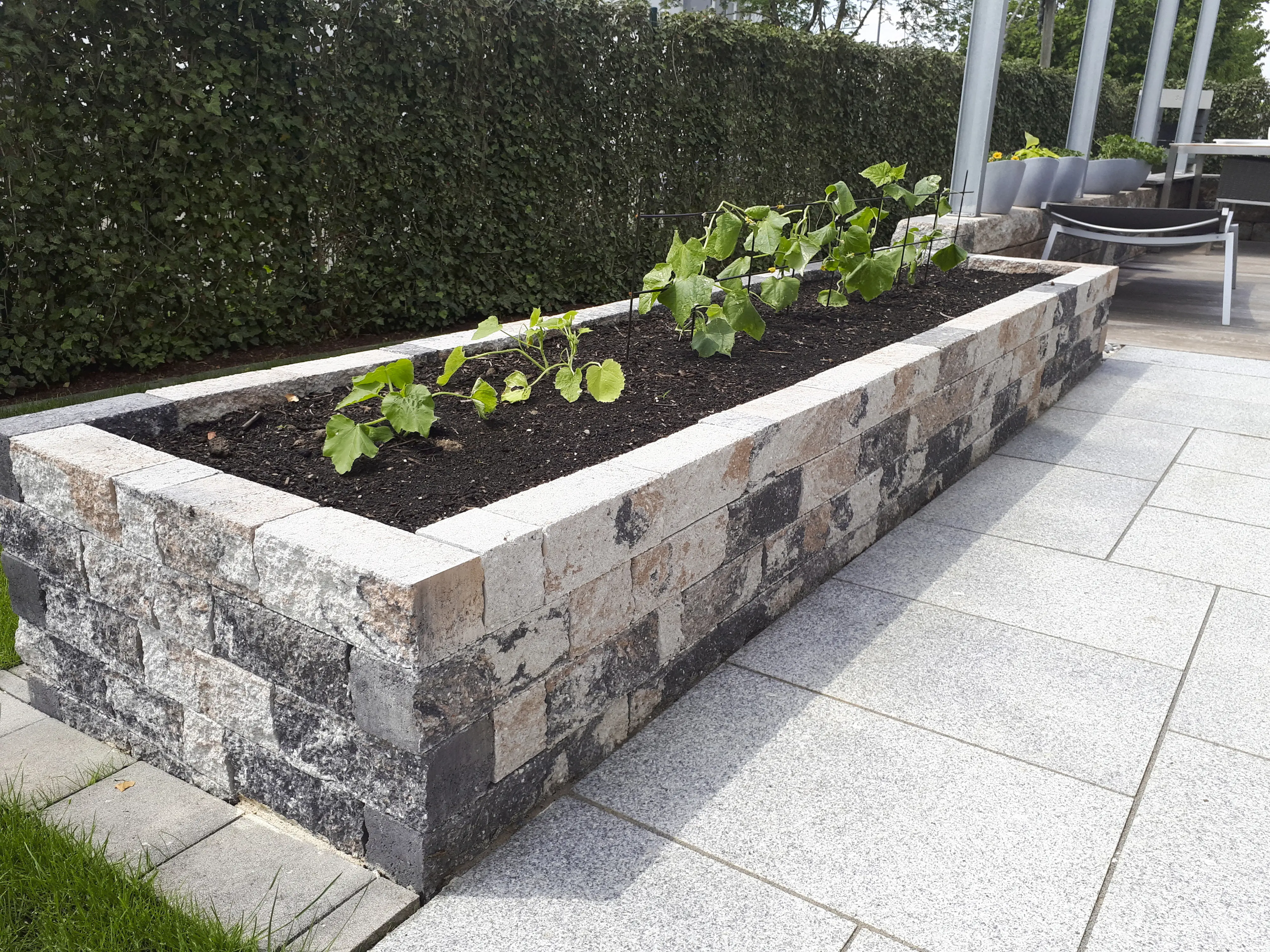 EHL Mauerstein Bonsai Normalstein 25 x 10 x 10 cm muschelkalk