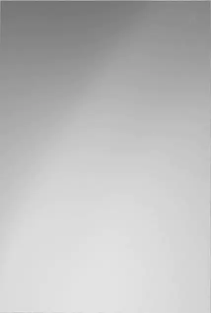 Sanitärspiegel 50x70 cm