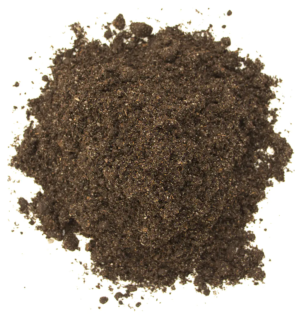 4006398405201_2 Floragard Rasenerde 40 L