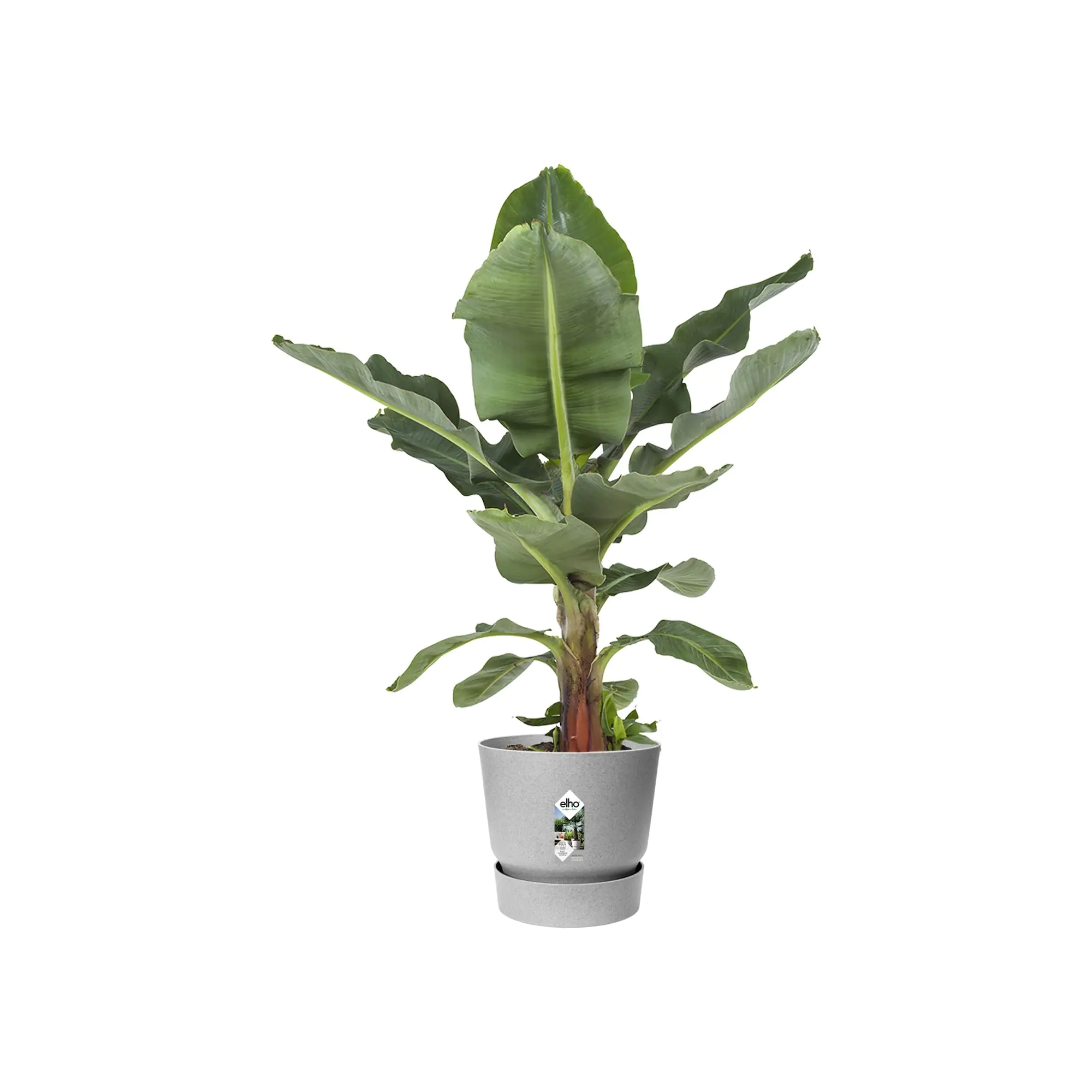 Elho Pflanztopf Greenville beton Ø 40 cm Elho Pflanztopf Greenville beton Ø 40 cm