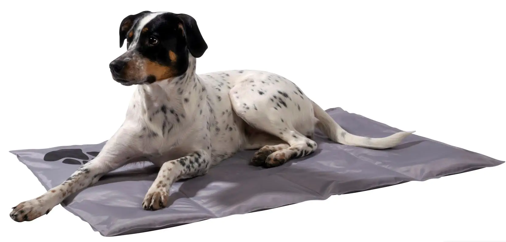 Dobar Kühlmatte mit Pfoten eckig L 99,5 x B 70 cm grau/schwarz