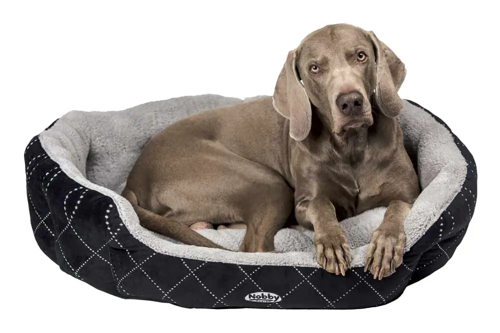 4033766715464_01 Nobby Komfortbett Ceno oval schwarz/grau