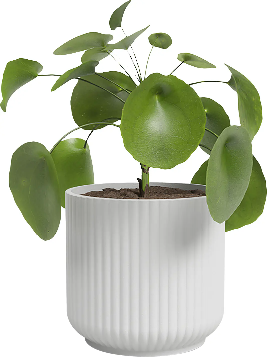 Artevasi Übertopf Luna Keramik weiß matt Ø 15 x 15 cm 