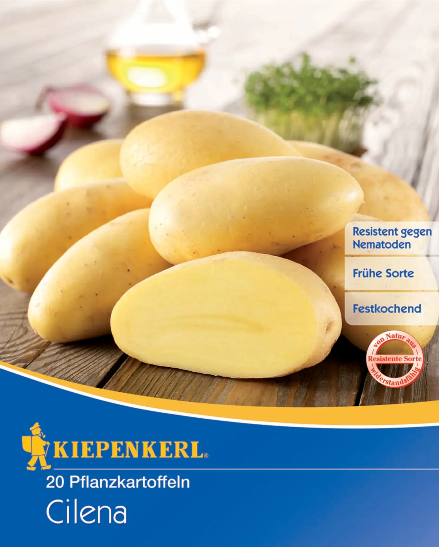 Kiepenkerl Pflanzgut Pflanzkartoffel Cilena 20 Stück
