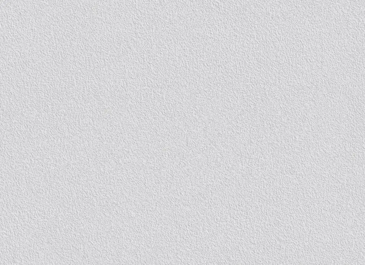 4000599003990_3 Erfurt Vliesfaser Maxx Premium Stone 206 weiß 12,5 x 0,53 m