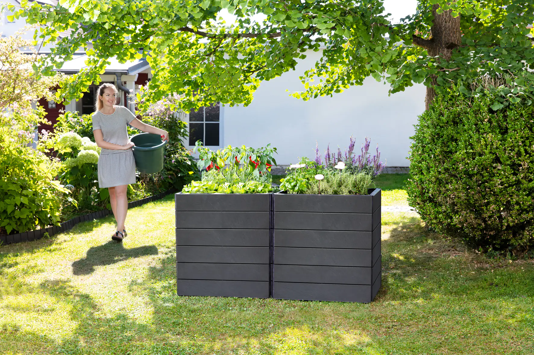 Garantia Hochbeet Ergo Quadro M 60 x 80 x 25 cm (L x B x H)