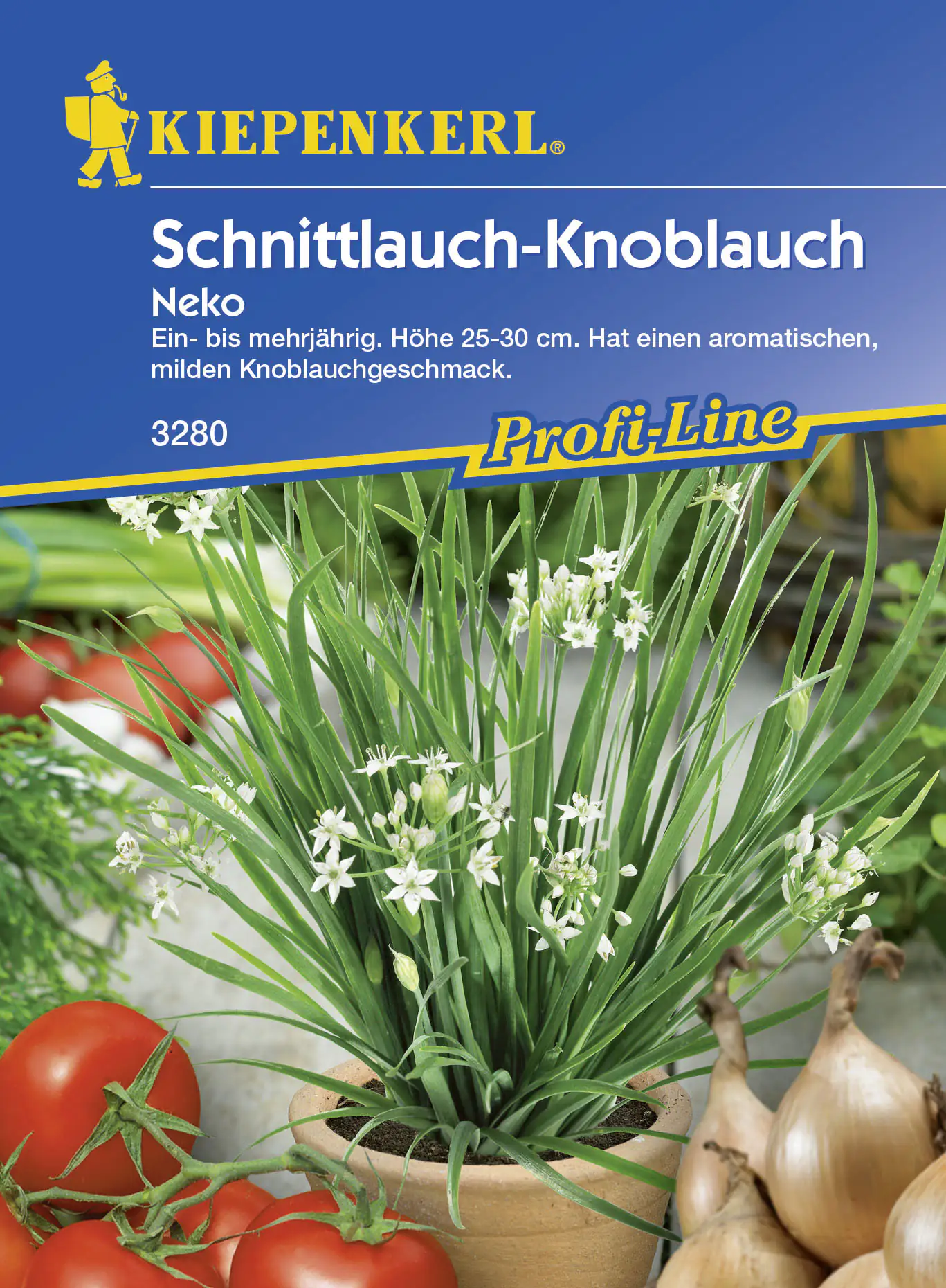 Kiepenkerl Schnittknoblauch Neko Allium tuberosum, Inhalt: ca. 100 Pflanzen Kiepenkerl Schnittknoblauch Neko Allium tuberosum, Inhalt: ca. 100 Pflanzen