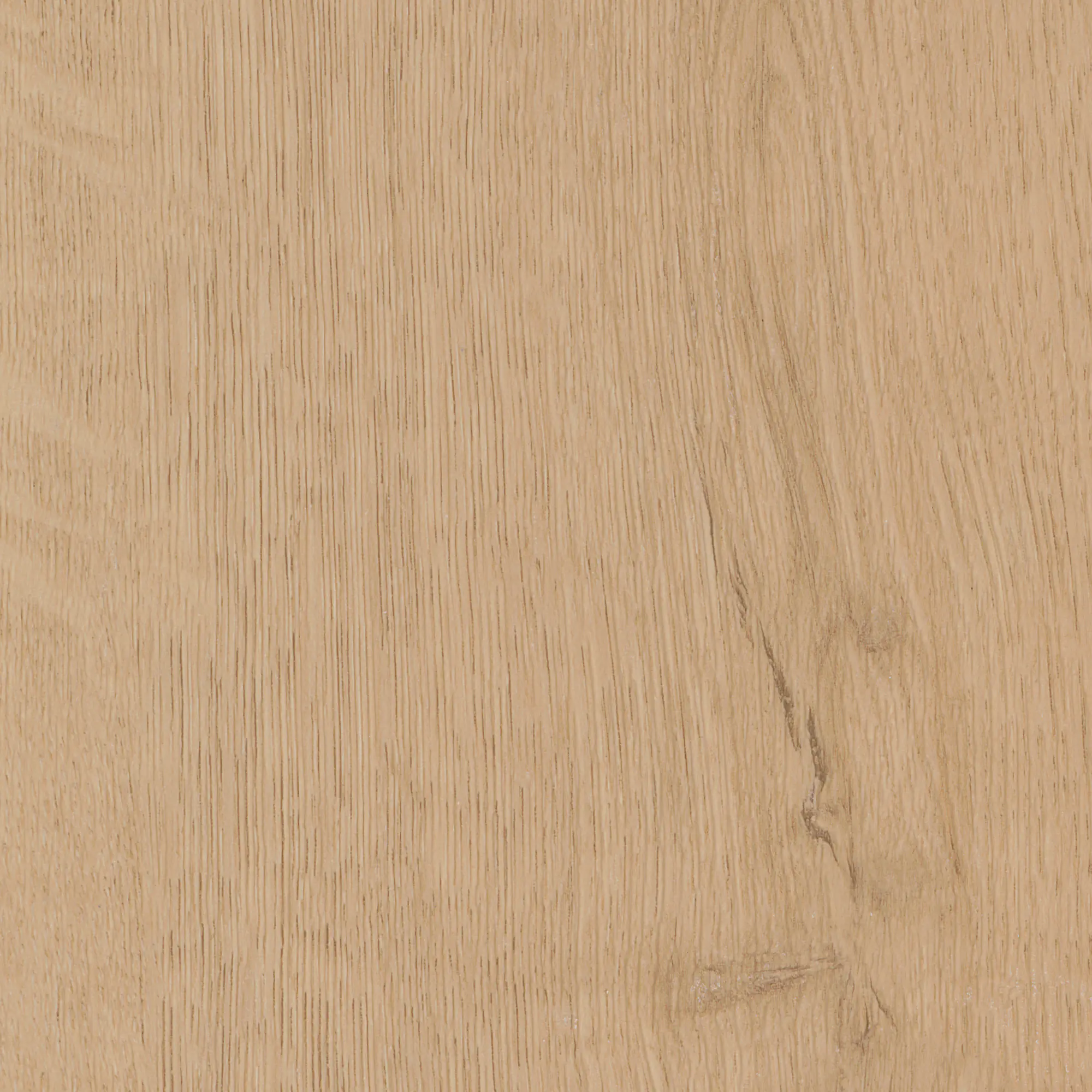 FN Neuhofer Fußleiste 240 cm 38,5 x 15 mm Eiche nova Scandic natur foliert