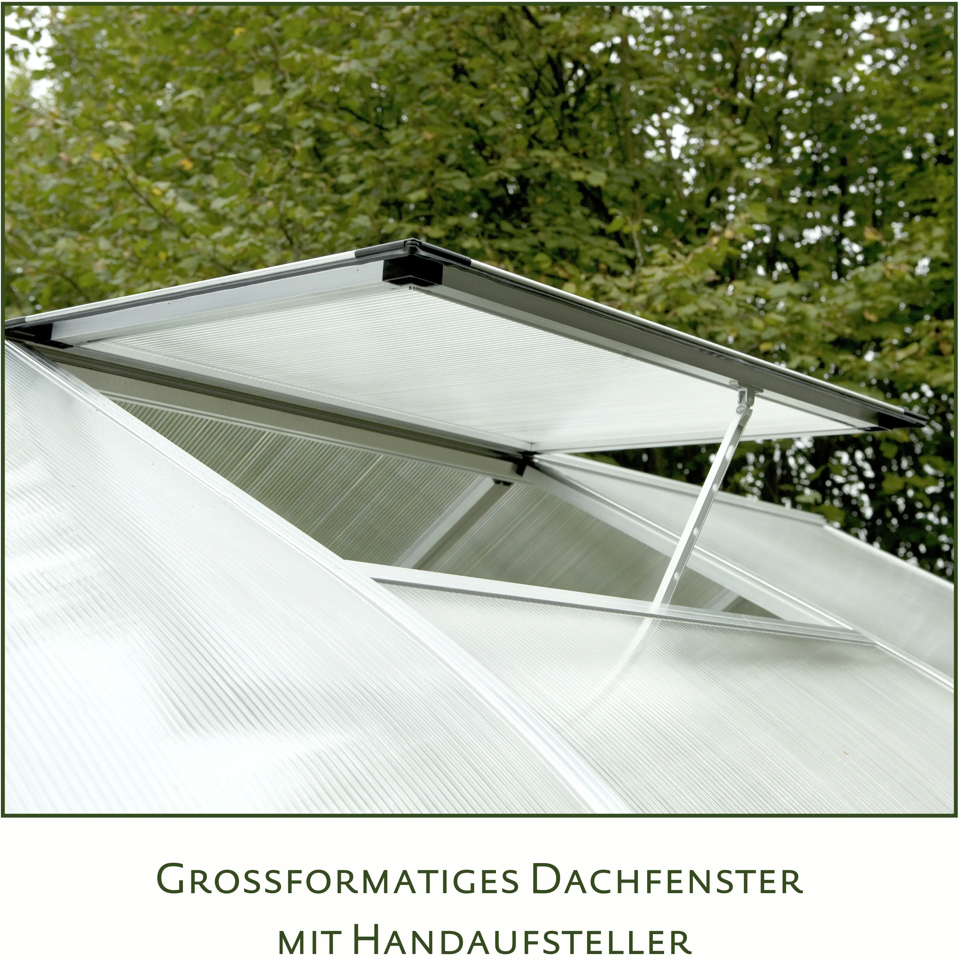 KGT Gewächshaus Rhodo III 2,27 x 2,27 m, pressblank