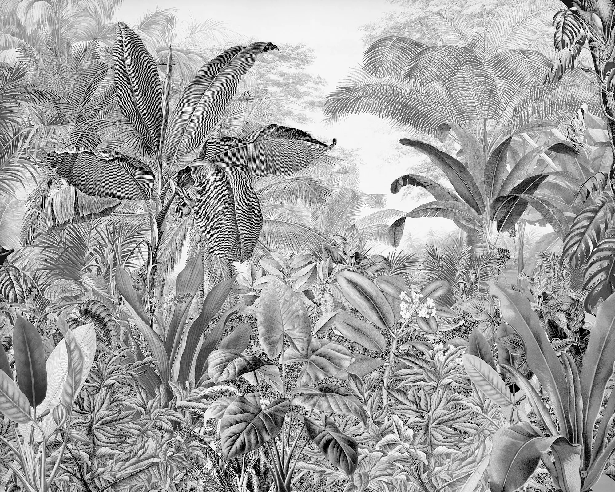 Komar Vlies Fototapete Roraima 350 x 280 cm 