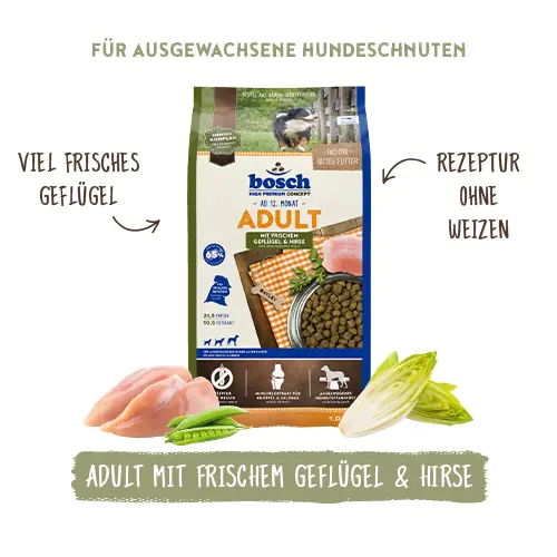 Bosch Trockenfutter für Hunde Adult 3 kg mit Geflügel & Hirse Bosch Trockenfutter für Hunde Adult 3 kg mit Geflügel & Hirse