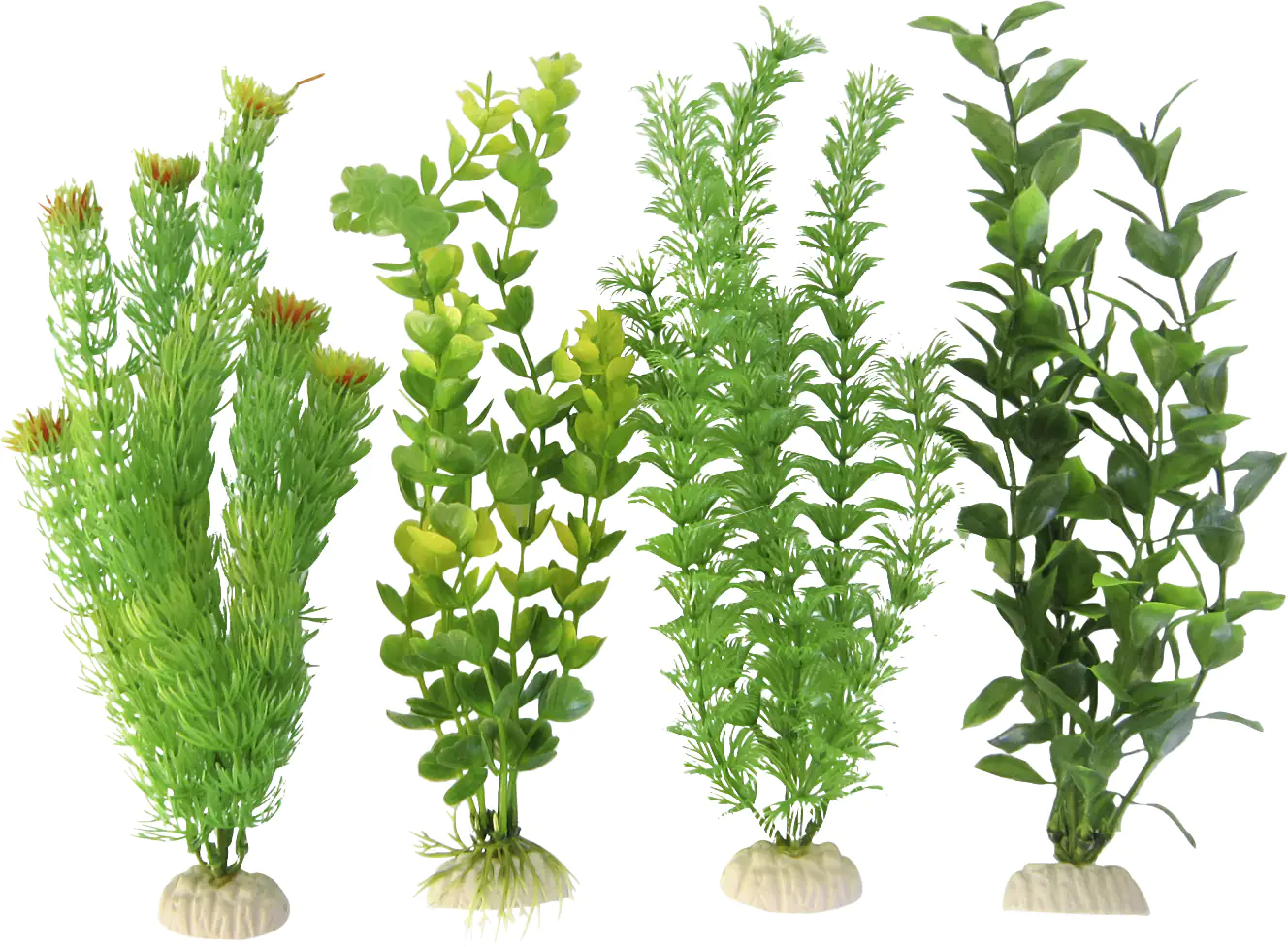 Orbit Aquapflanze grün Standard large