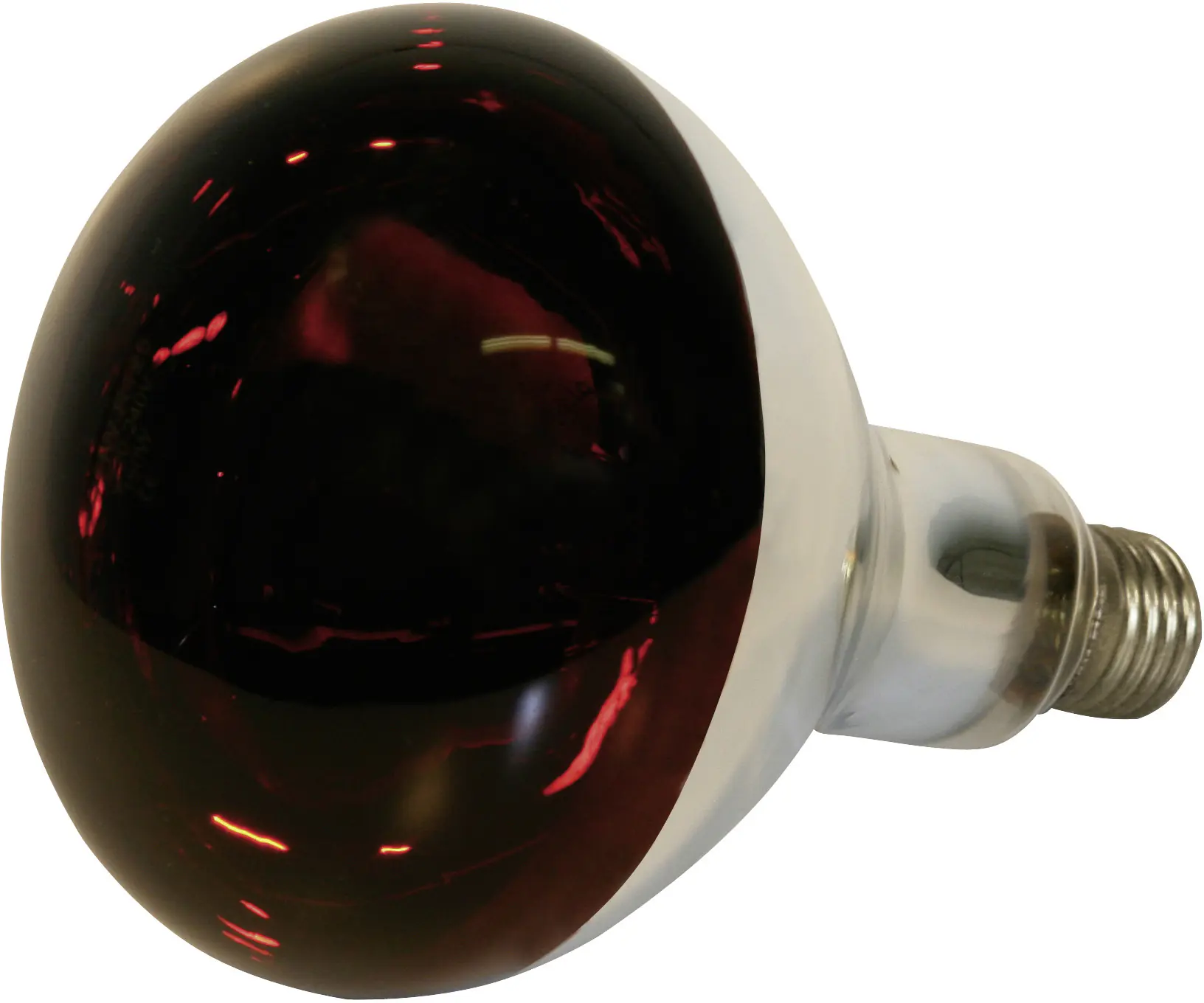 Kerbl Hartglas-Infrarotlampe für Küken 250 W