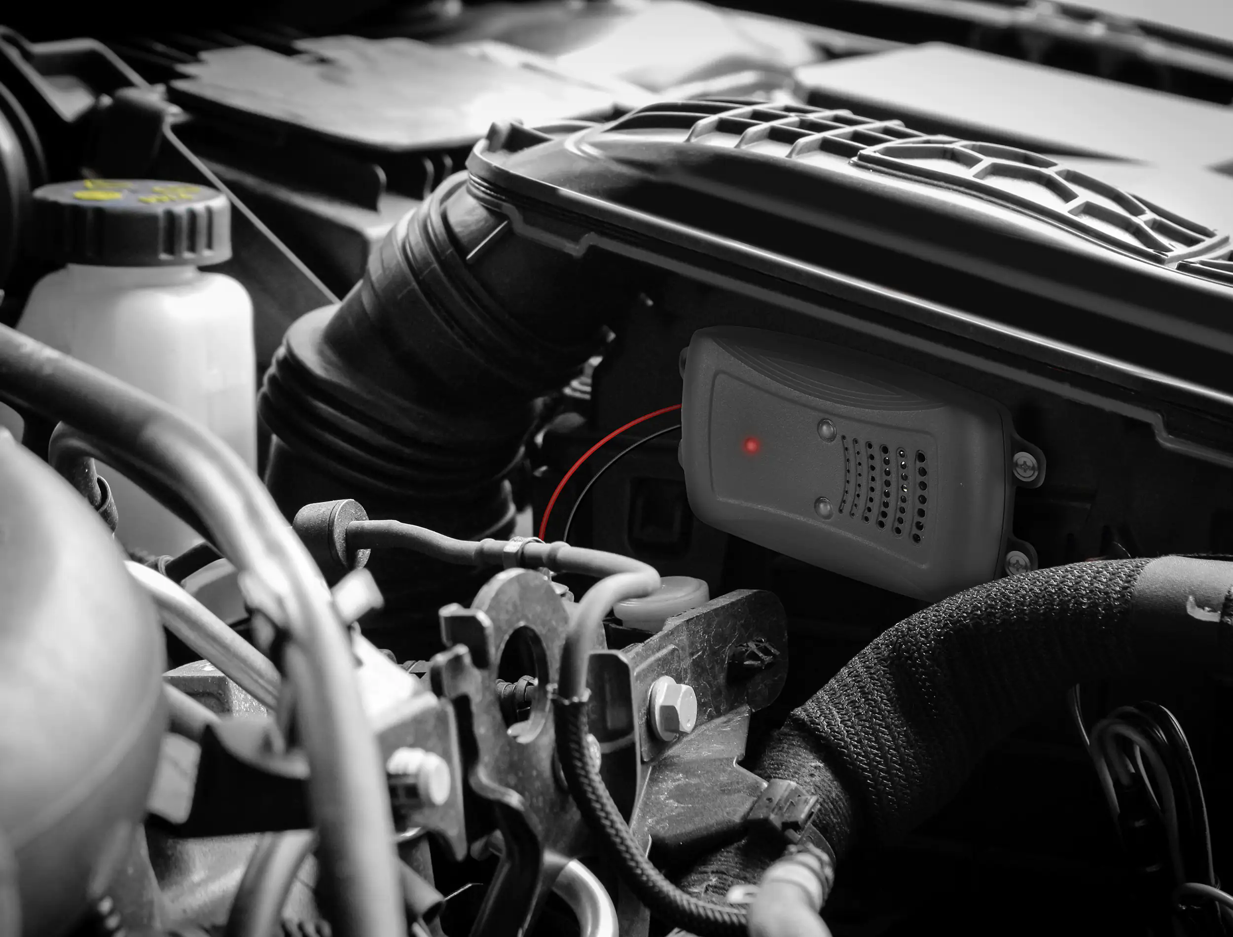 Marderschreck Marderabwehrgerät Ultraschall 12V mit Blitz-LEDs